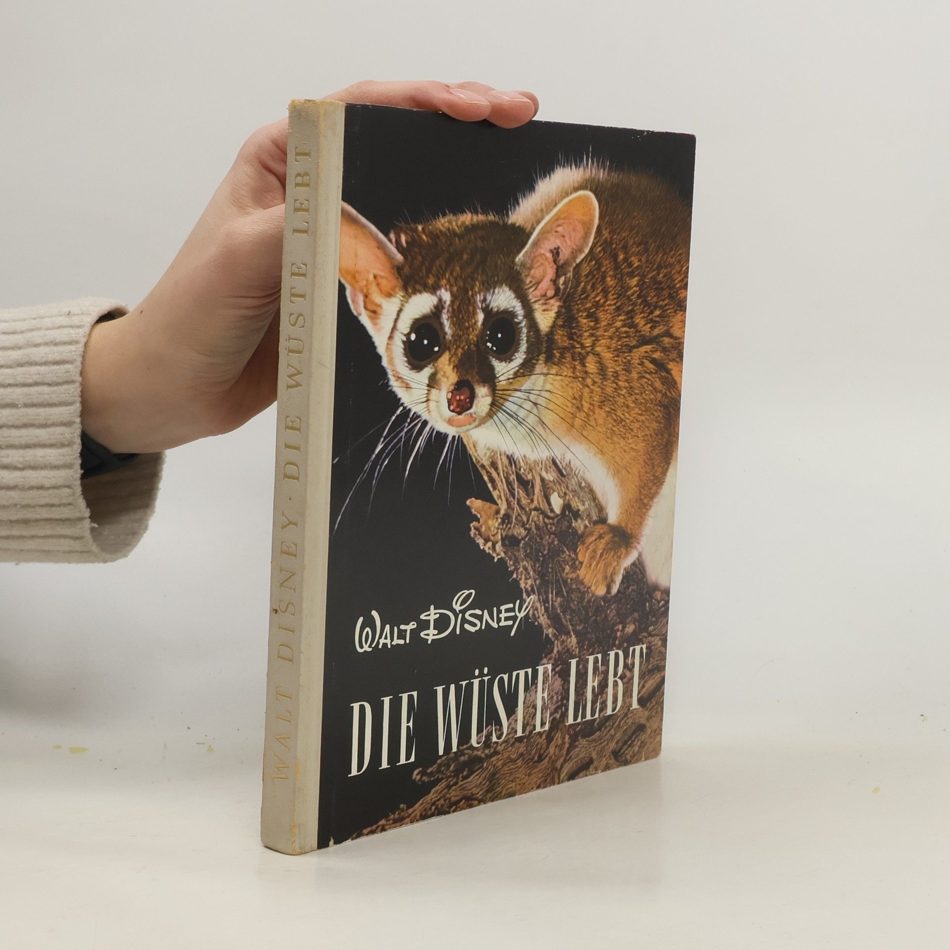 Manfred Hausmann Die Wüste lebt