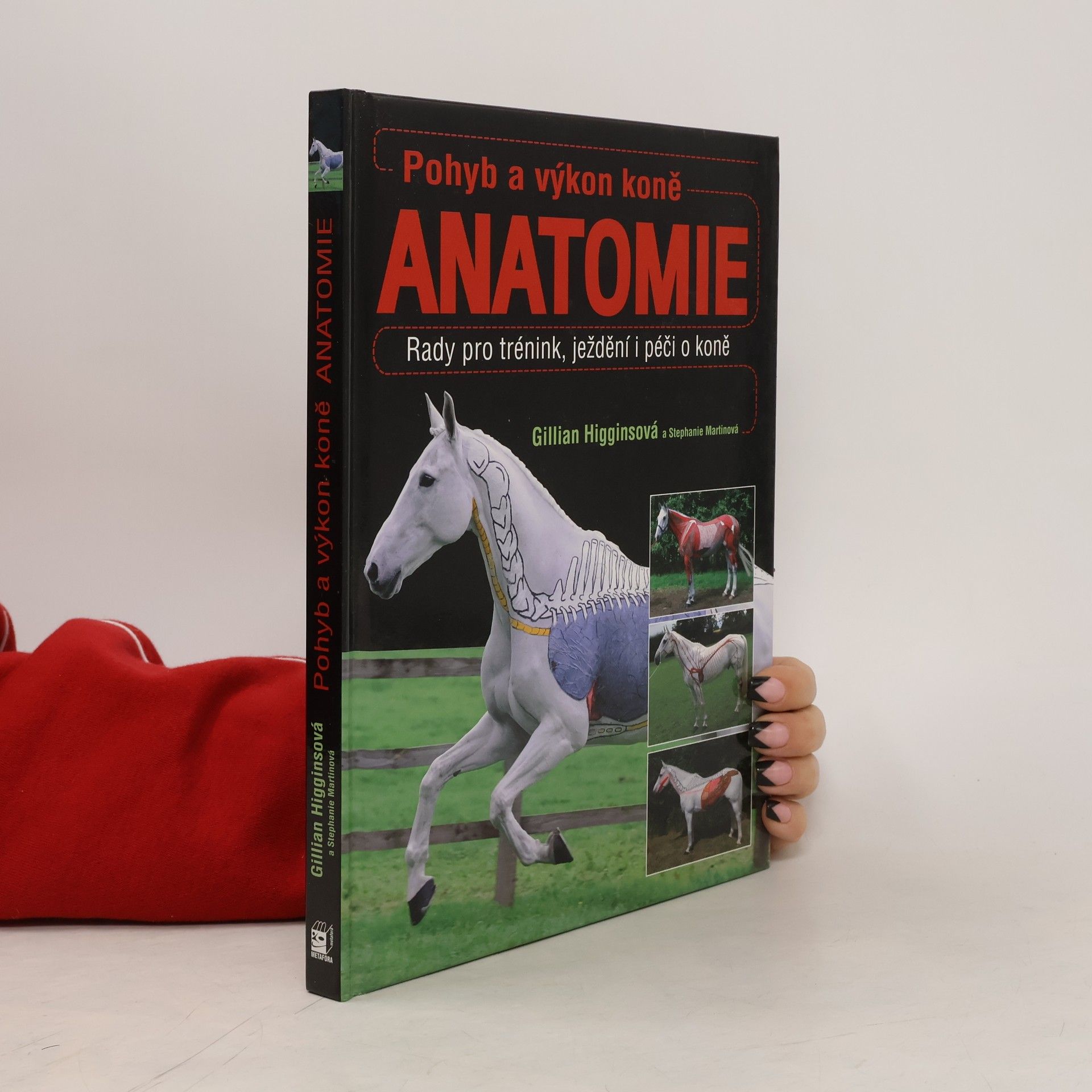 Pohyb a výkon koně. Anatomie