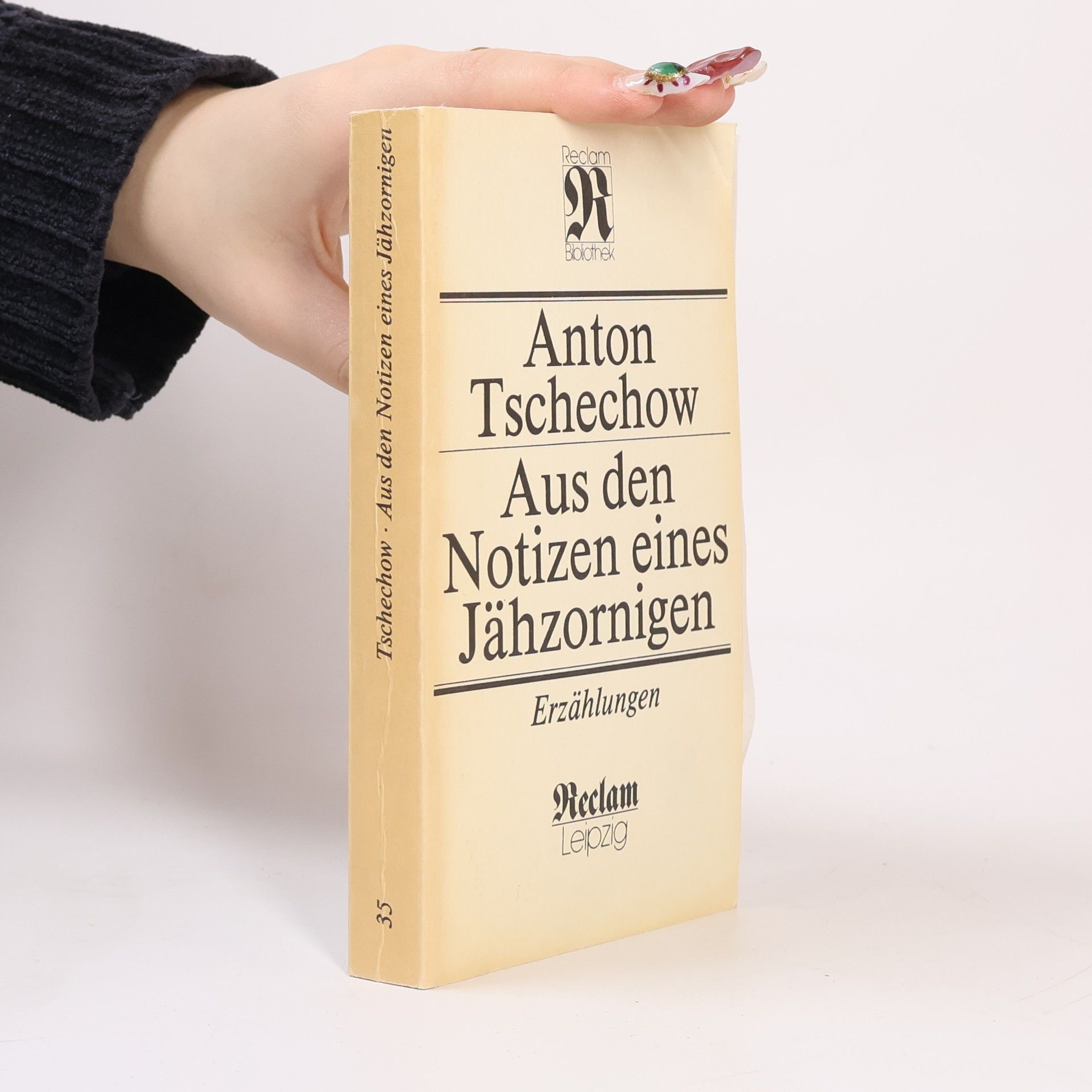 Anton Pavlovič Čechov Aus den Notizen eines Jähzornigen