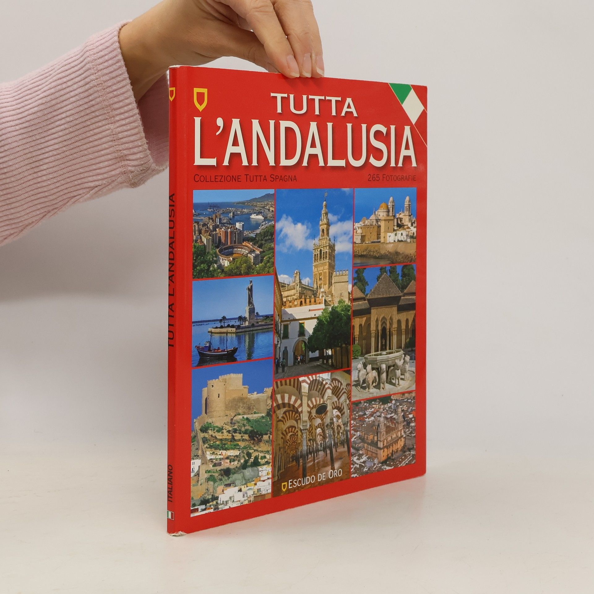 Kolektív autorov Tutta l'Andalusia