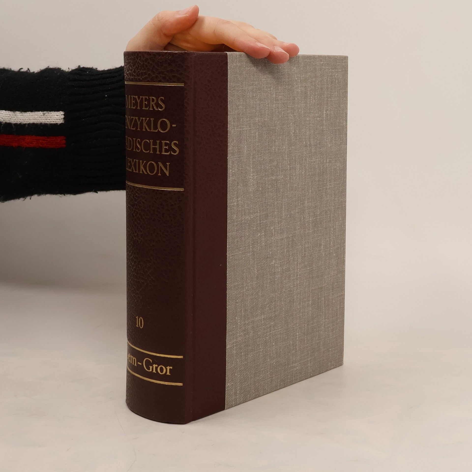 Autorenkollektiv Meyers Enzyklopädisches Lexikon. Band 10. Gem-Gror