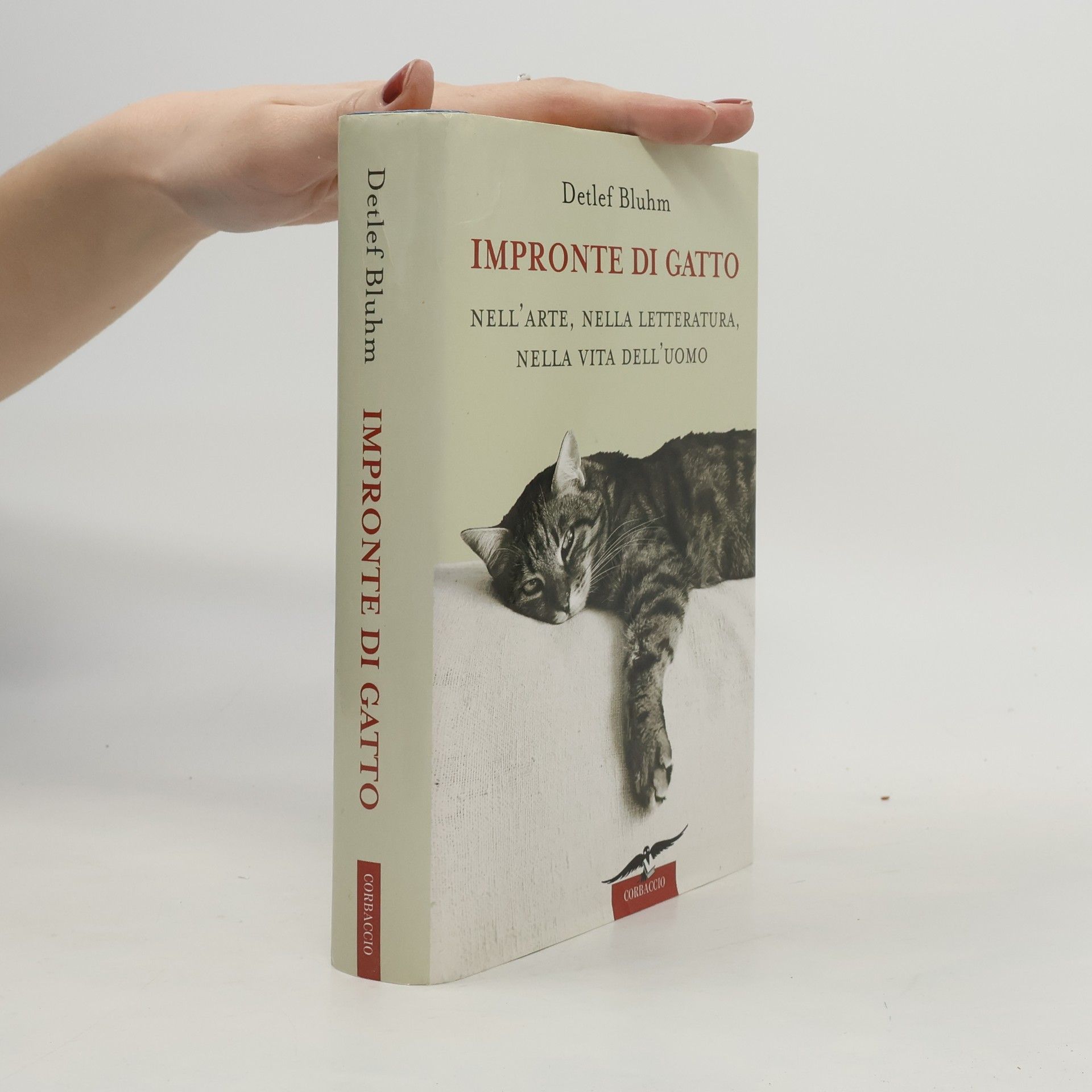 Detlef Bluhm Impronte di gatto