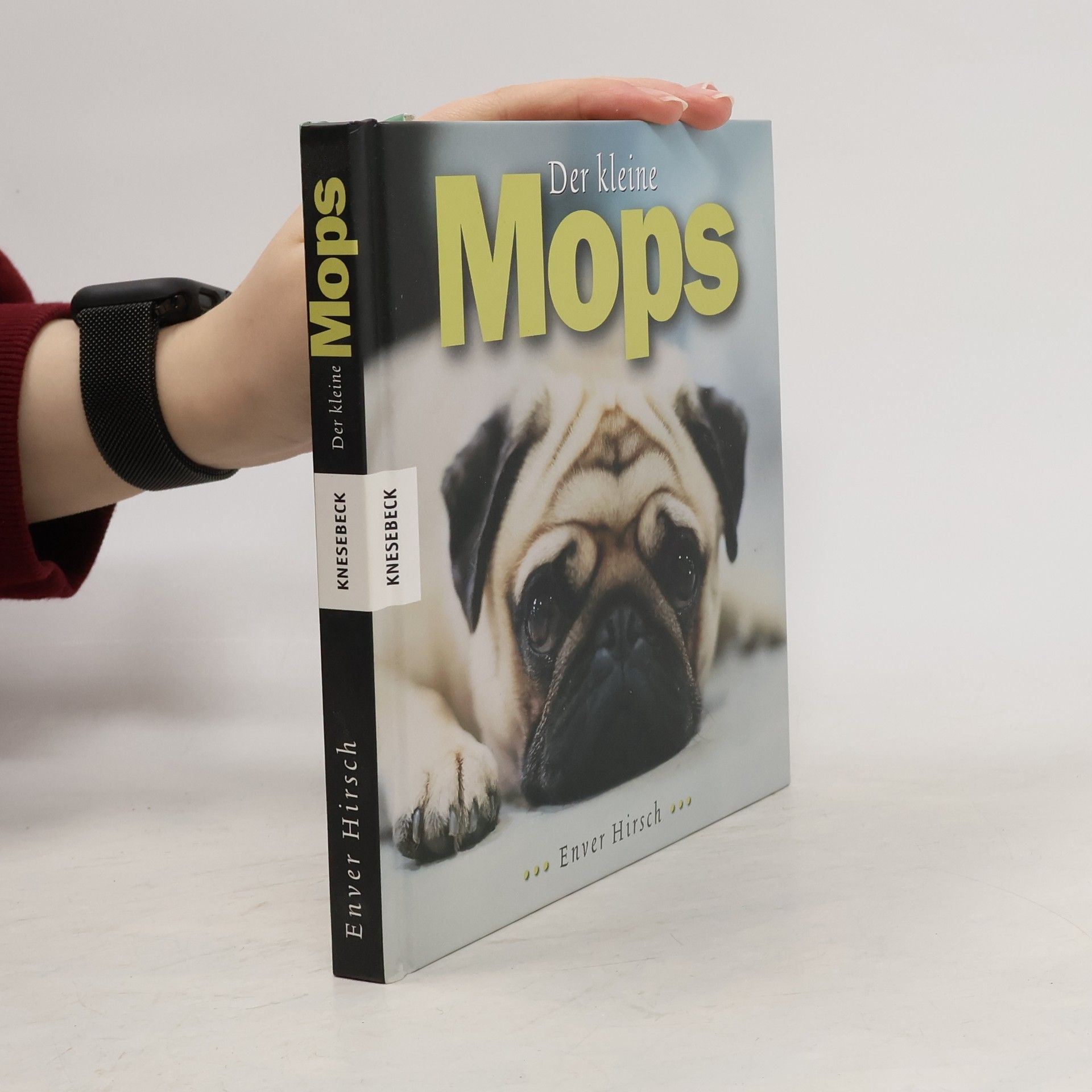 Enver Hirsch Der kleine Mops