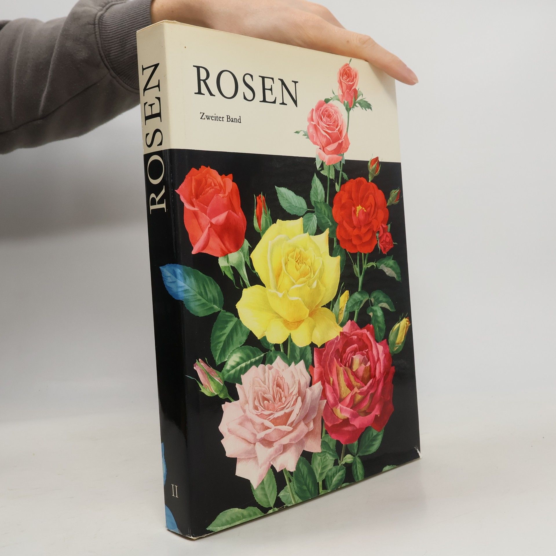 Autorenkollektiv Rosen II