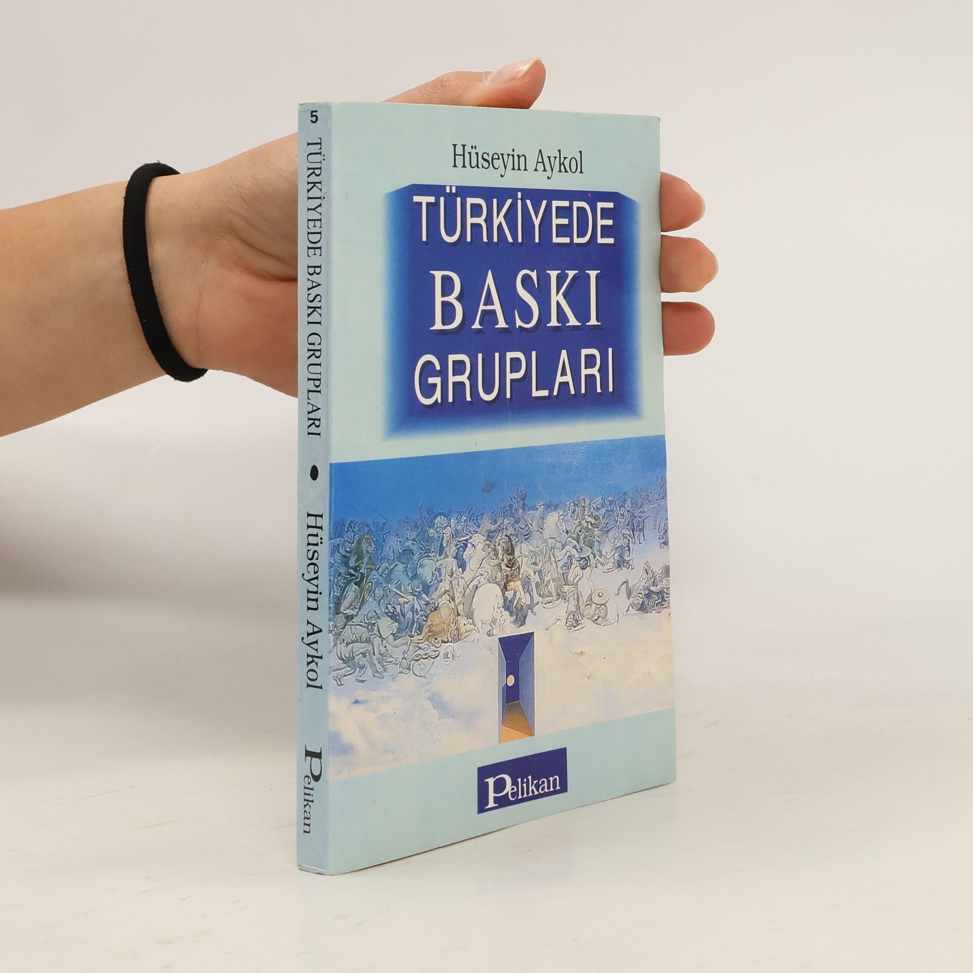 Hüseyin Aykol  Türkiyede baskı grupları