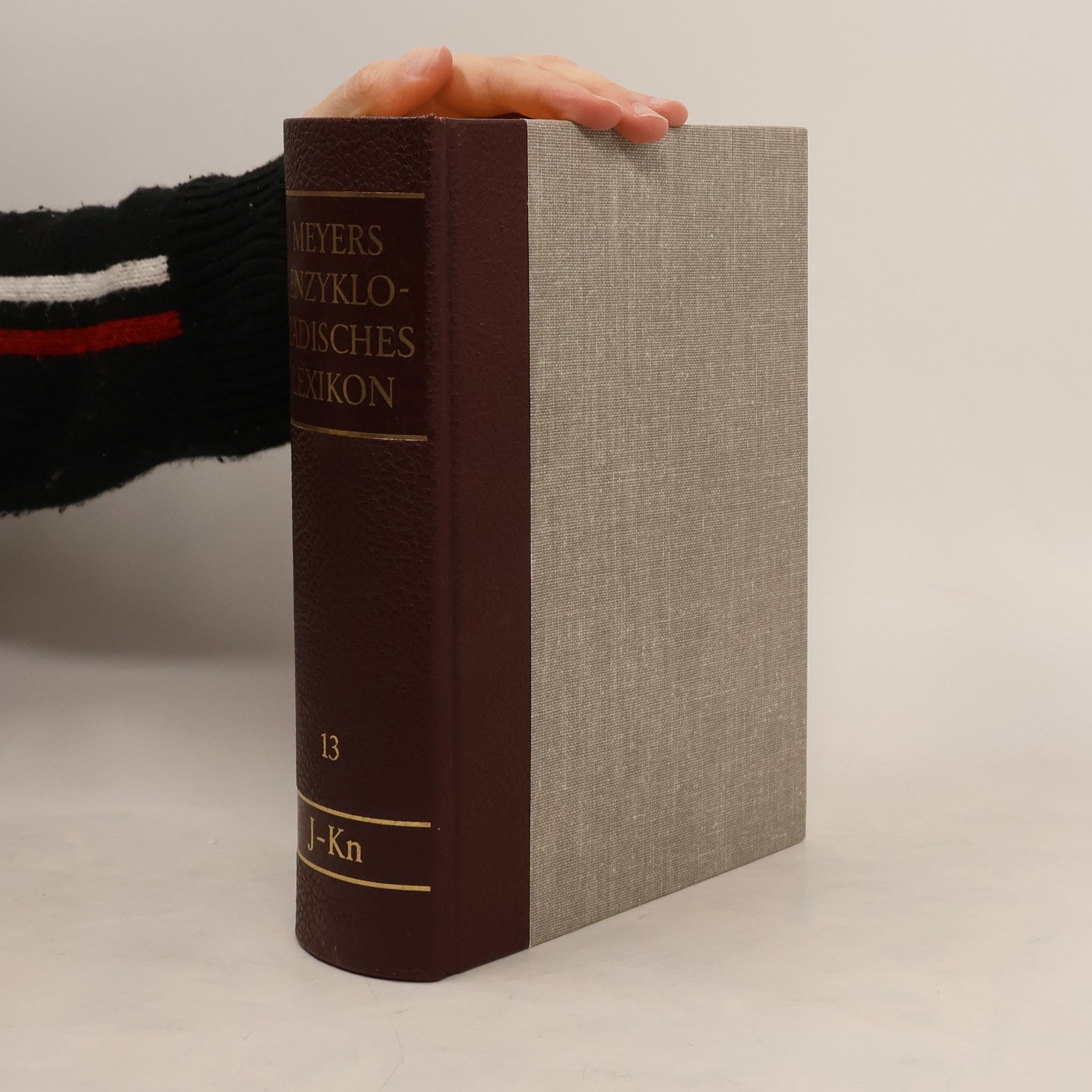 Autorenkollektiv Meyers Enzyklopädisches Lexikon 13.