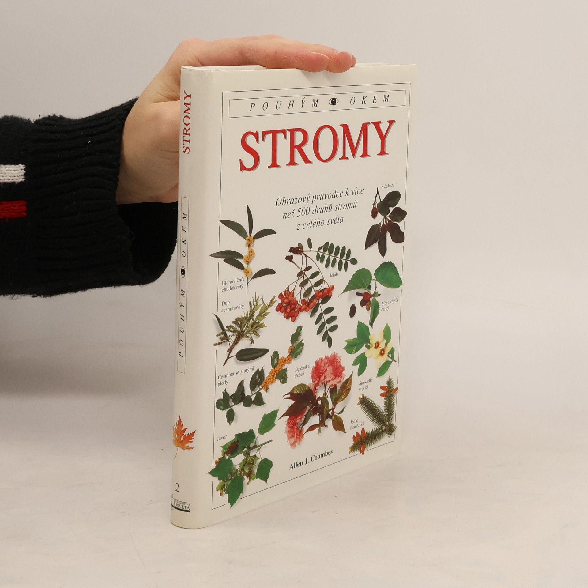 Allen J. Coombes Stromy