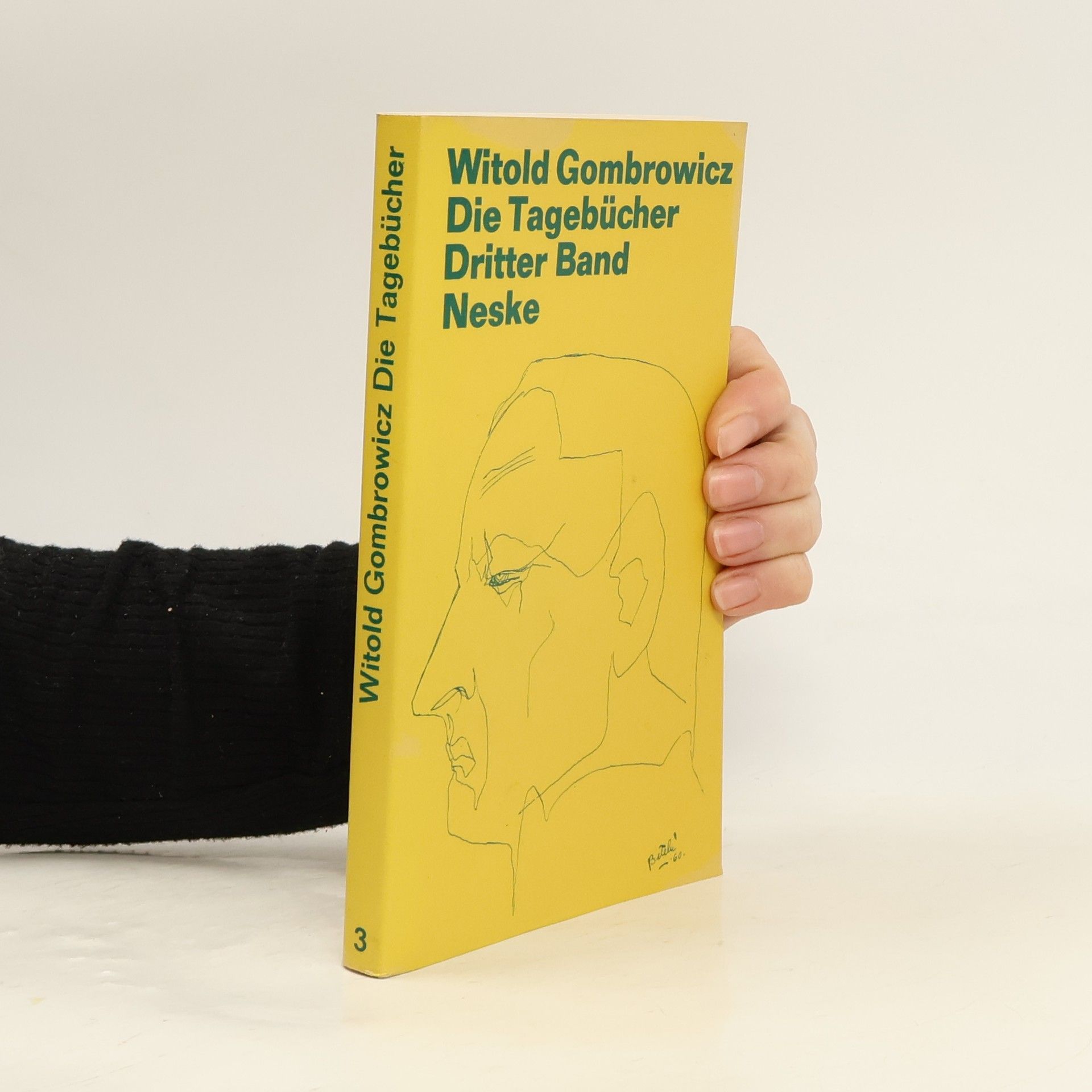 Walter Tiel Witold Gombrowicz Die Tagebucher