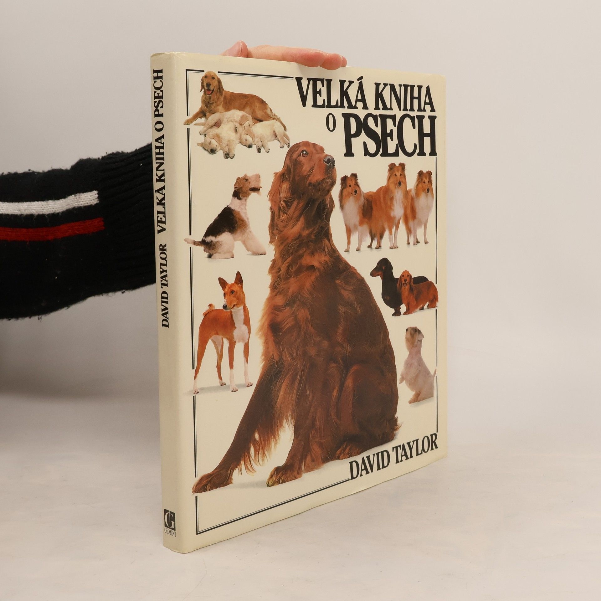 David Conrad Taylor Velká kniha o psech