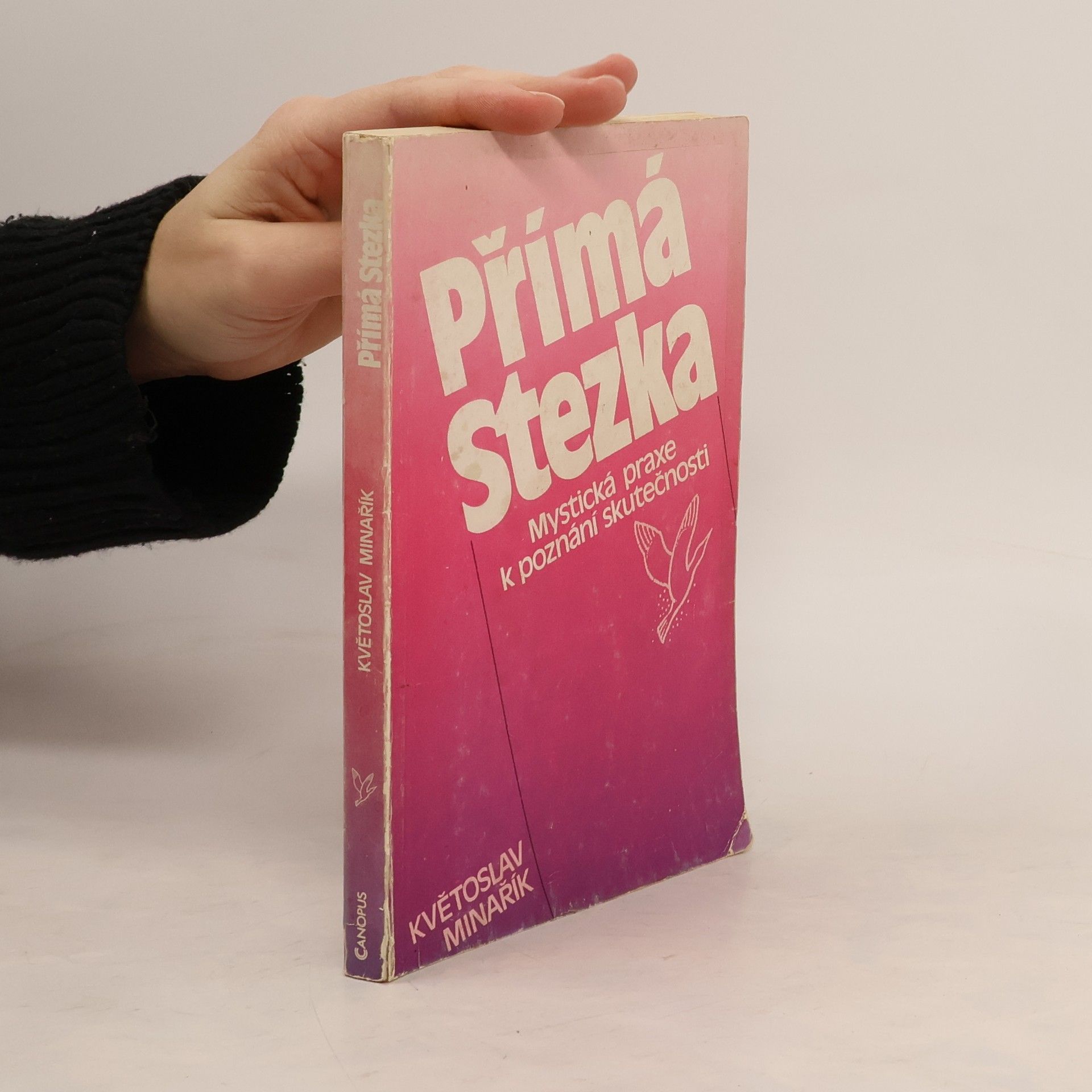 Kvetoslav Minarik Přímá stezka