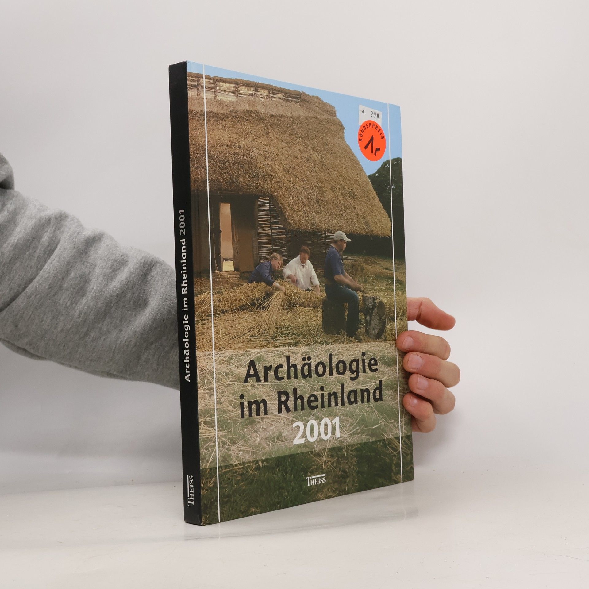 Archäologie im Rheinland 2001