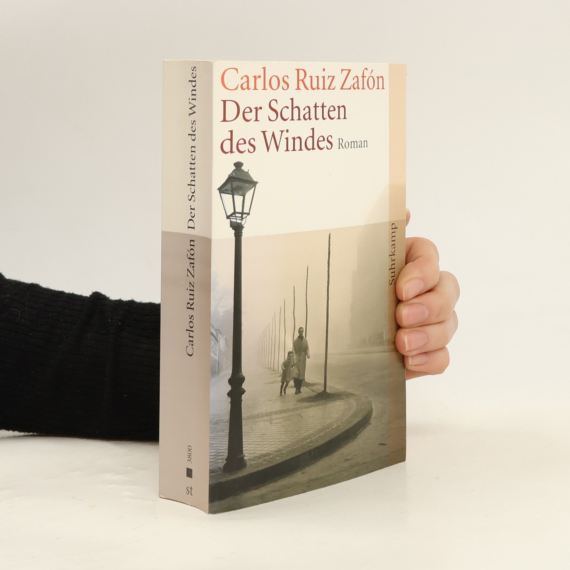 Der Schatten des Windes