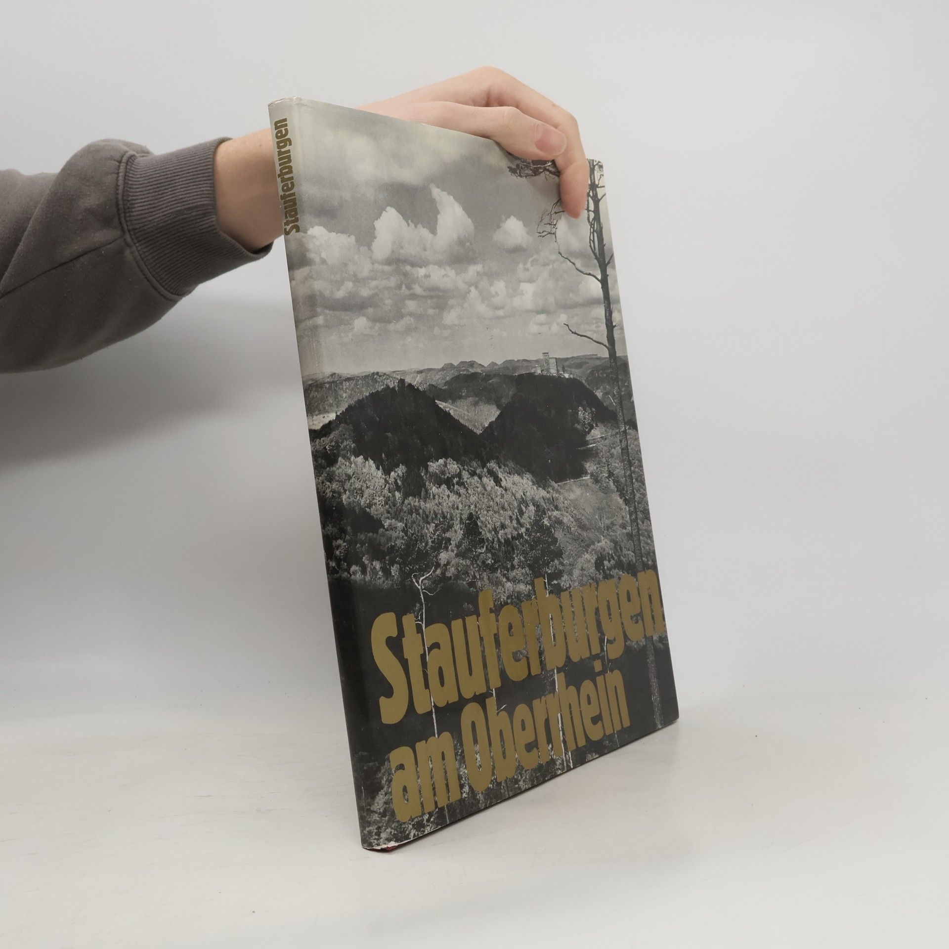 Stauferburgen am Oberrhein