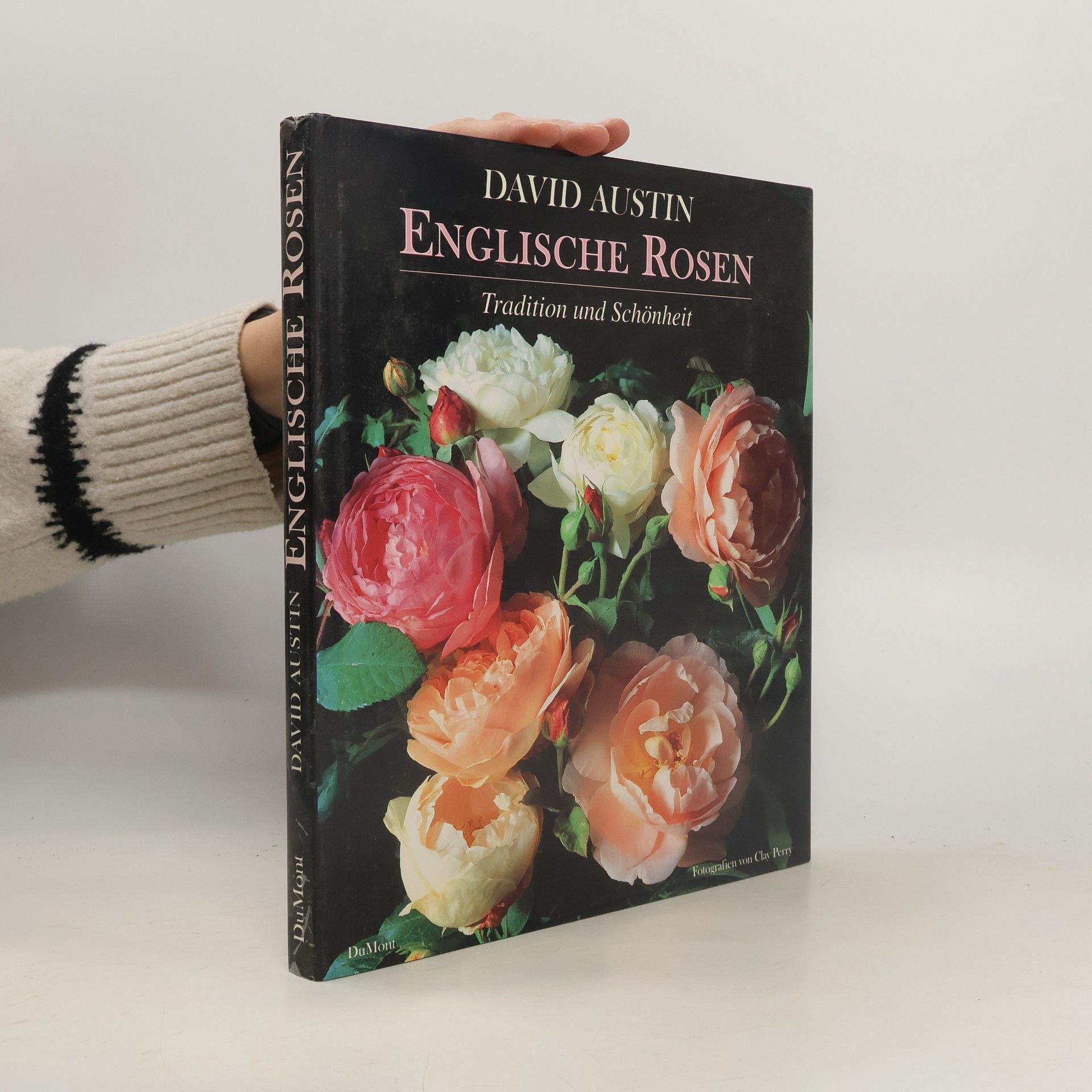 David Austin Englische Rosen