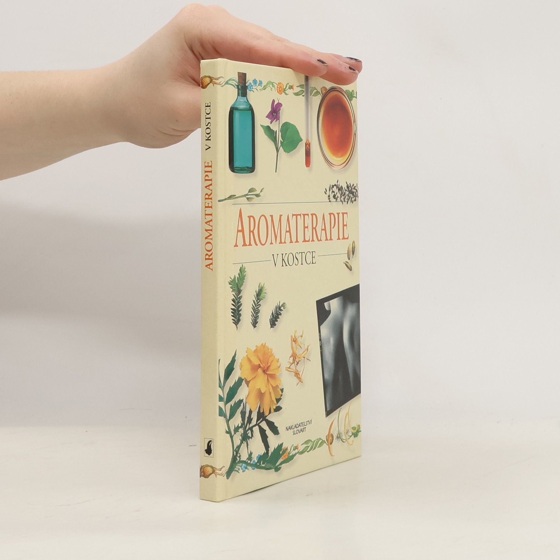 Aromaterapie v kostce