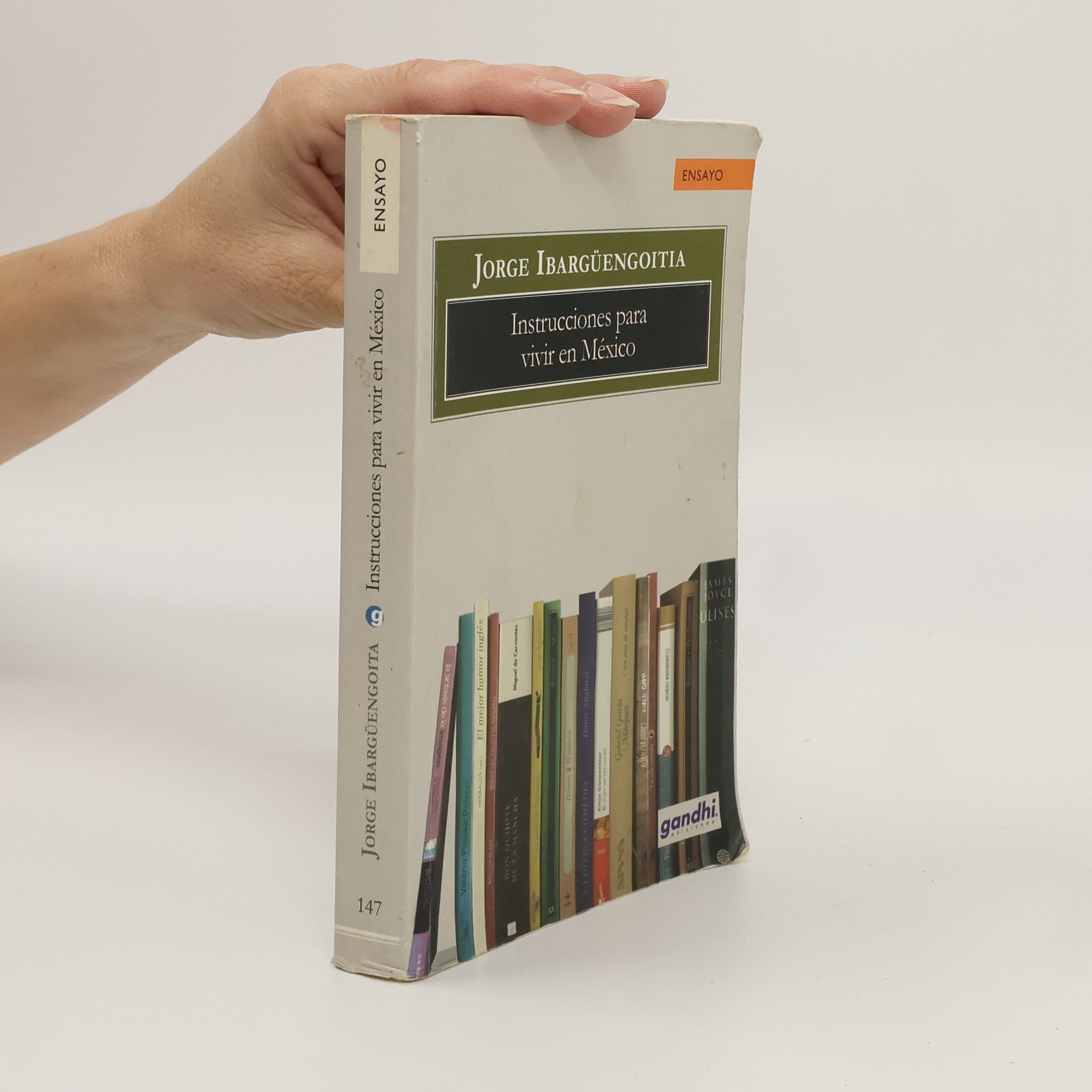 Instrucciones para vivir en México