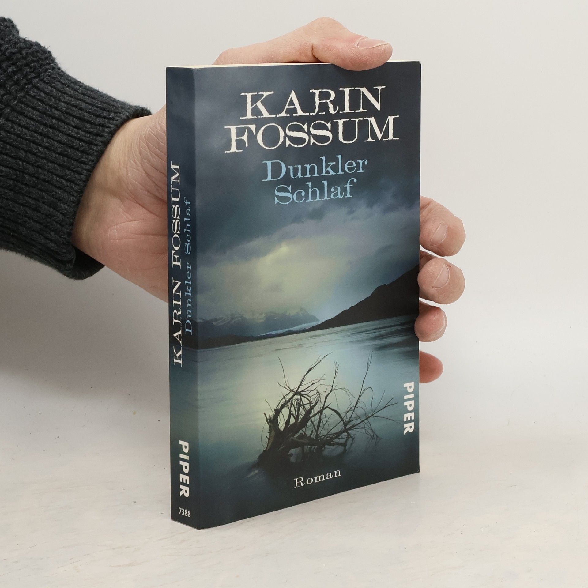 Karin Fossum Dunkler Schlaf