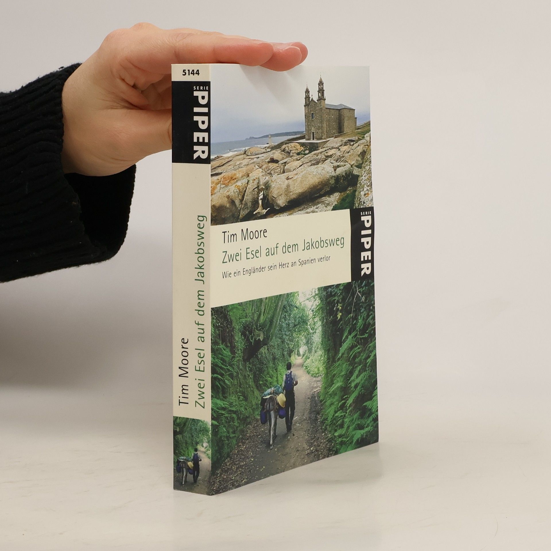 Tim Moore Zwei Esel auf dem Jakobsweg