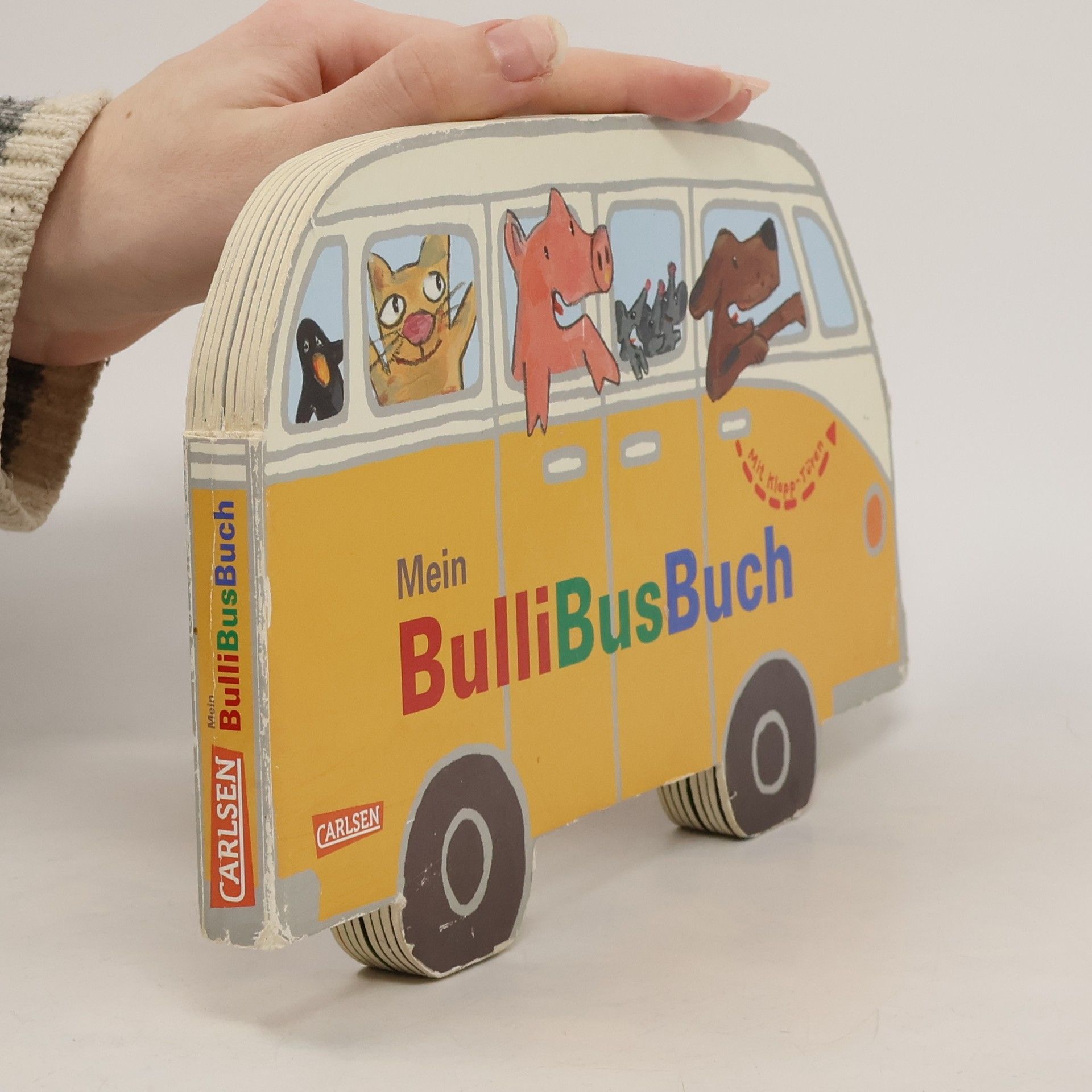 Birte Müller Mein BulliBusBuch