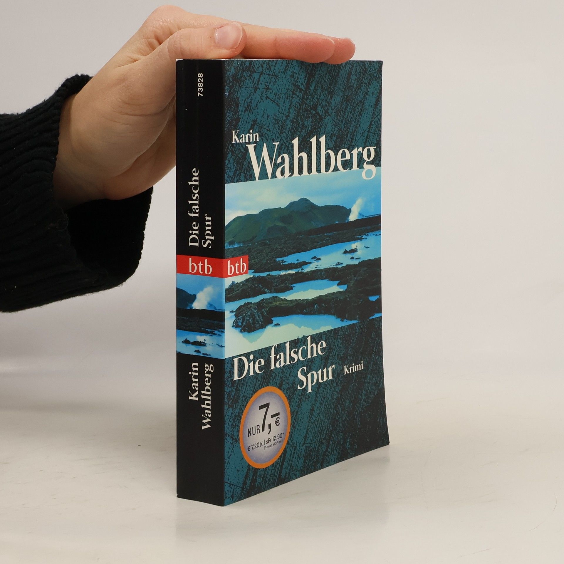 Karin Wahlberg Die falsche Spur