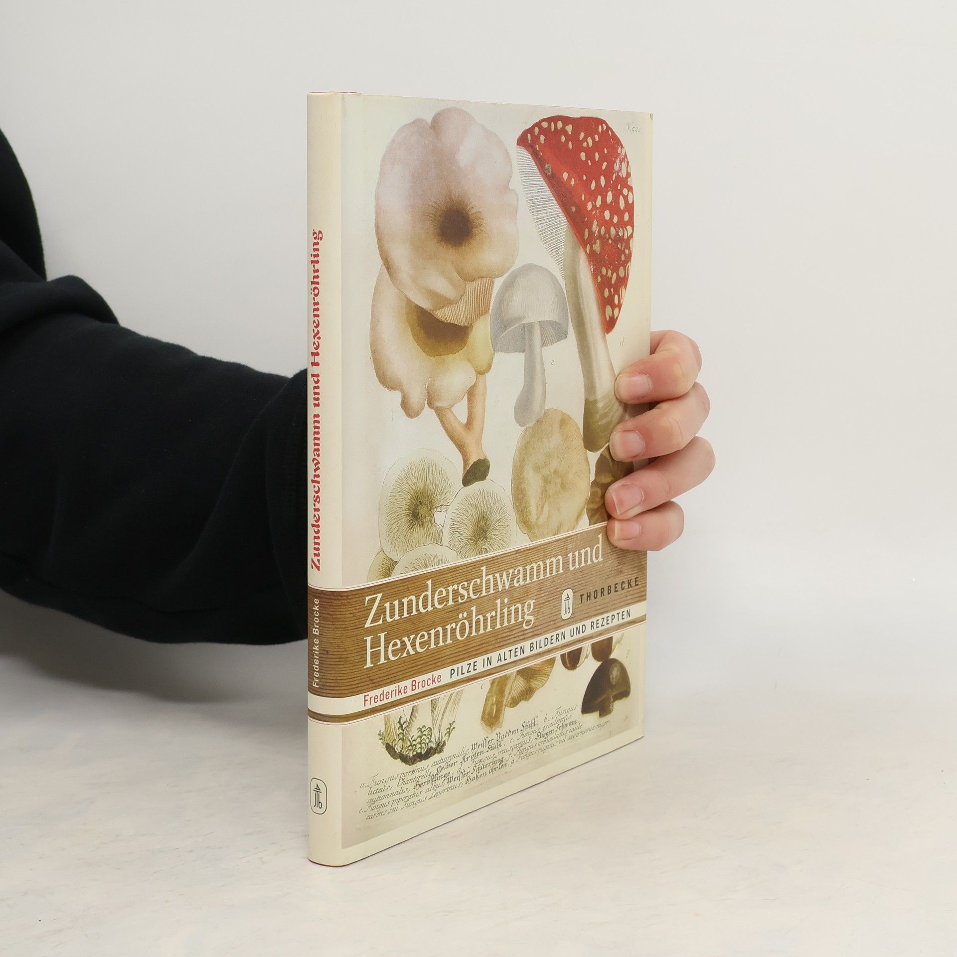 Zunderschwamm und Hexenröhrling