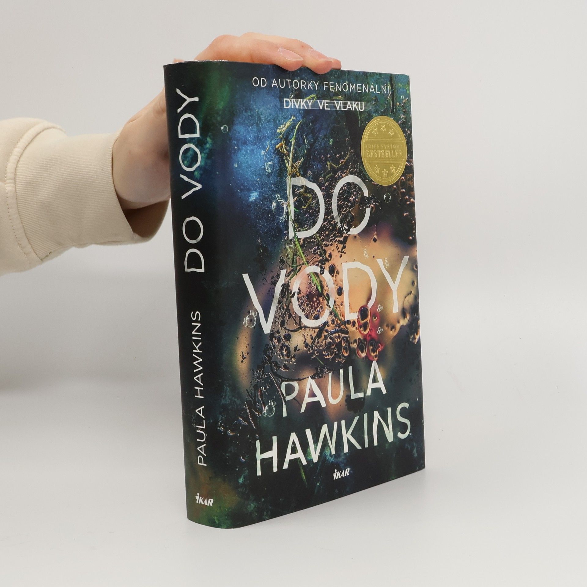 Paula Hawkins Do vody