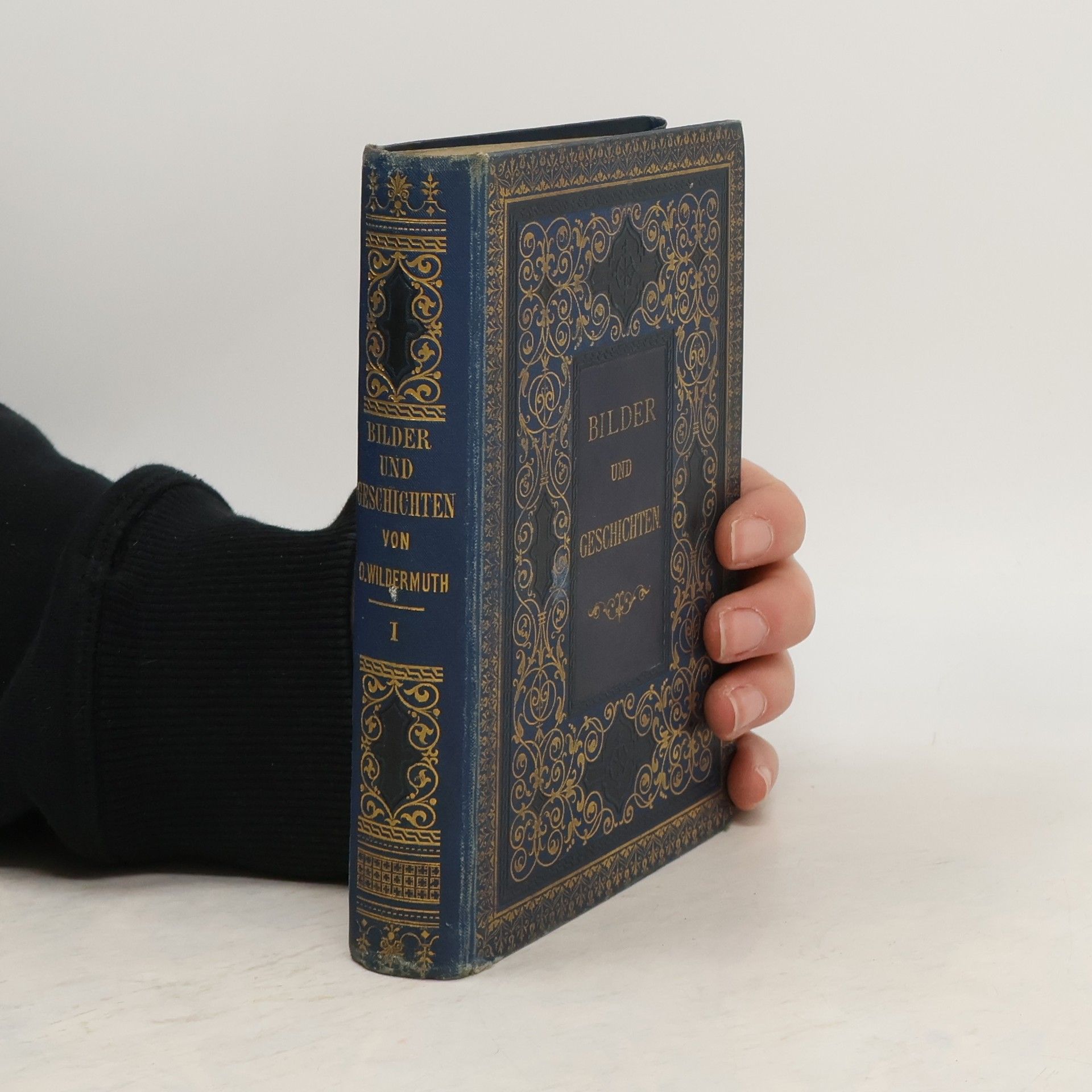 Ottilie Wildermuth Bilder und Geschichten I.