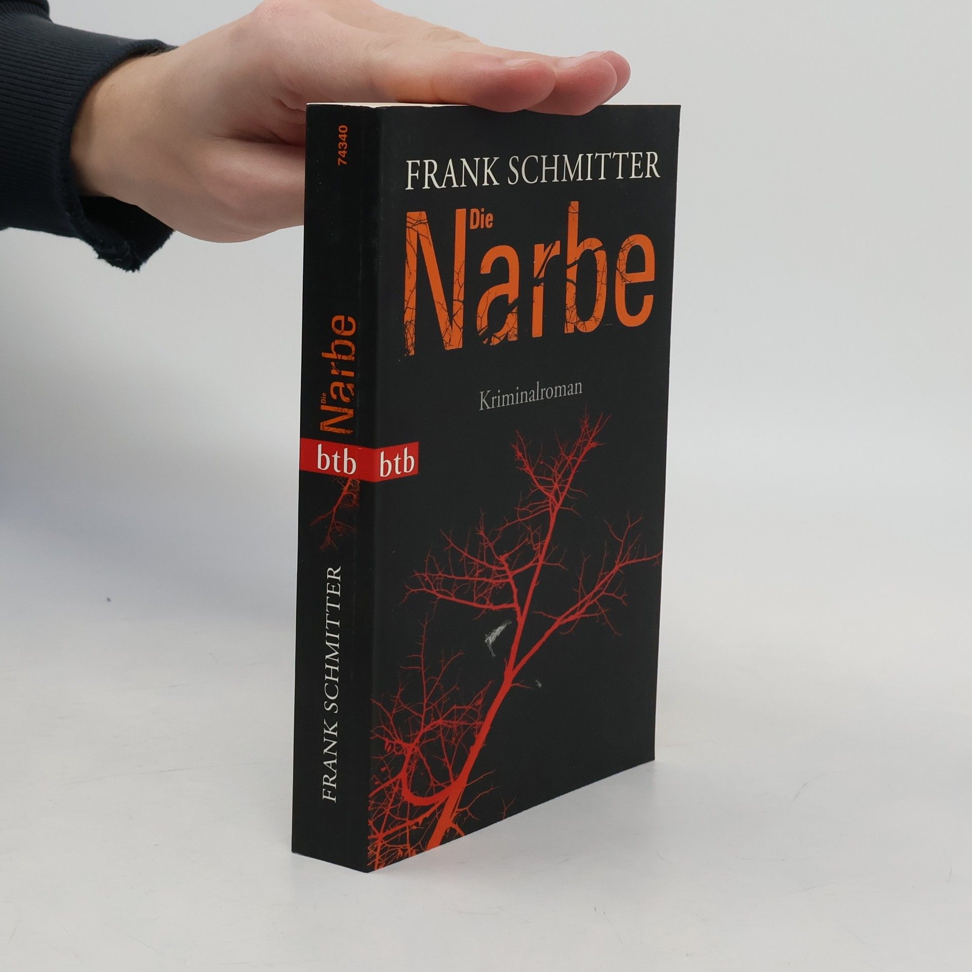 Frank Schmitter Die Narbe