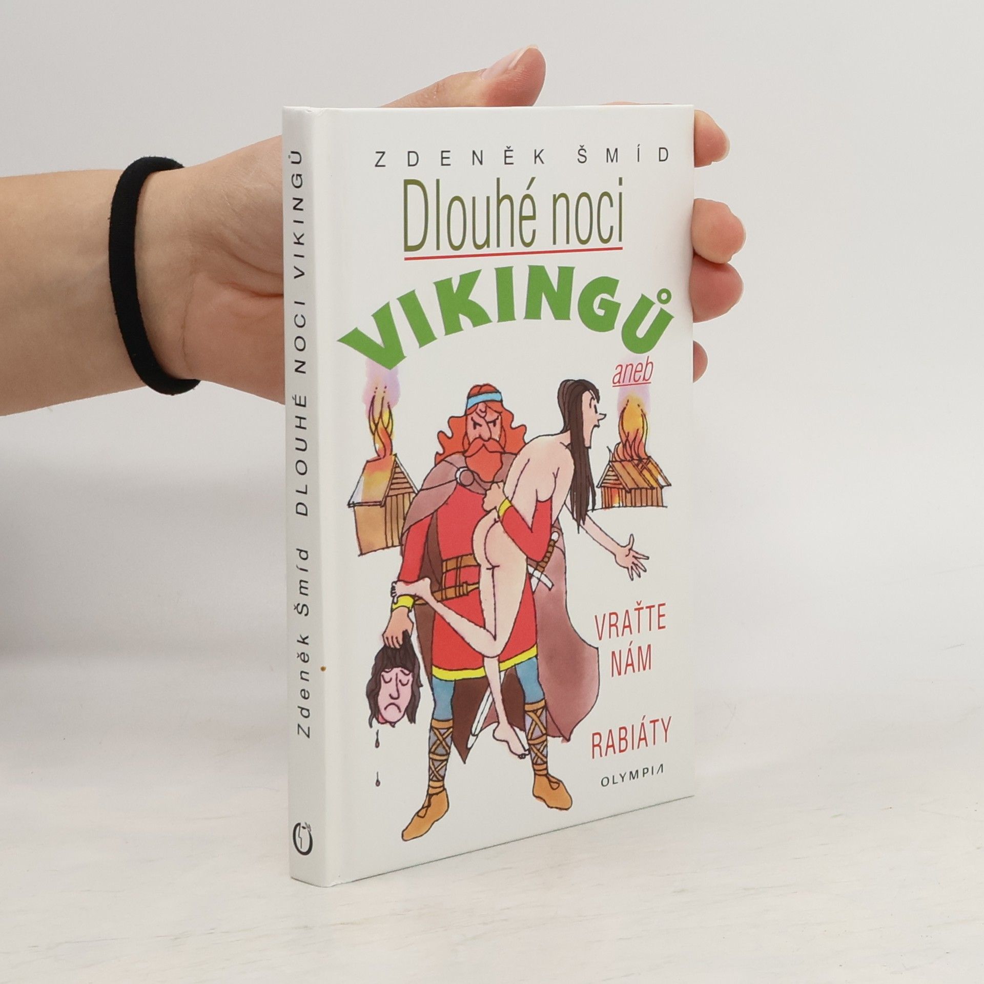 Zdeněk Šmíd Dlouhé noci Vikingů aneb Vraťte nám rabiáty