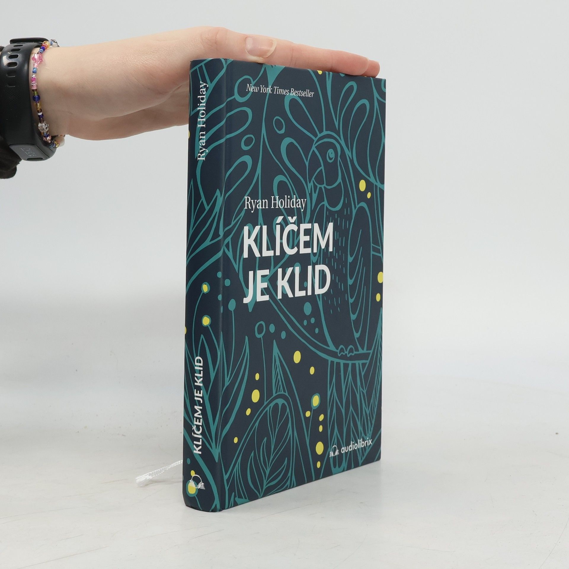 Ryan Holiday Klíčem je klid