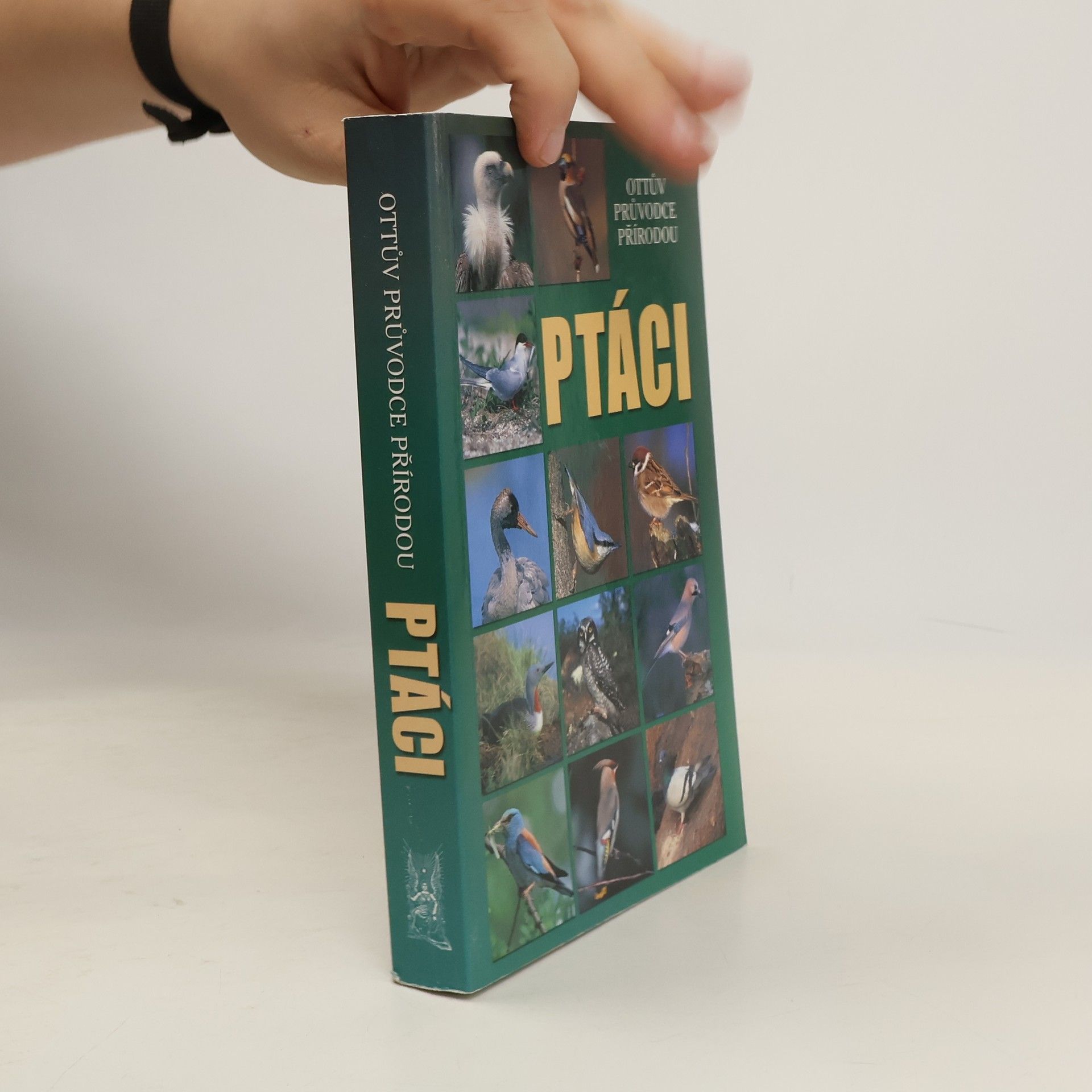 Alena Červená Ptáci - Ottův průvodce přírodou