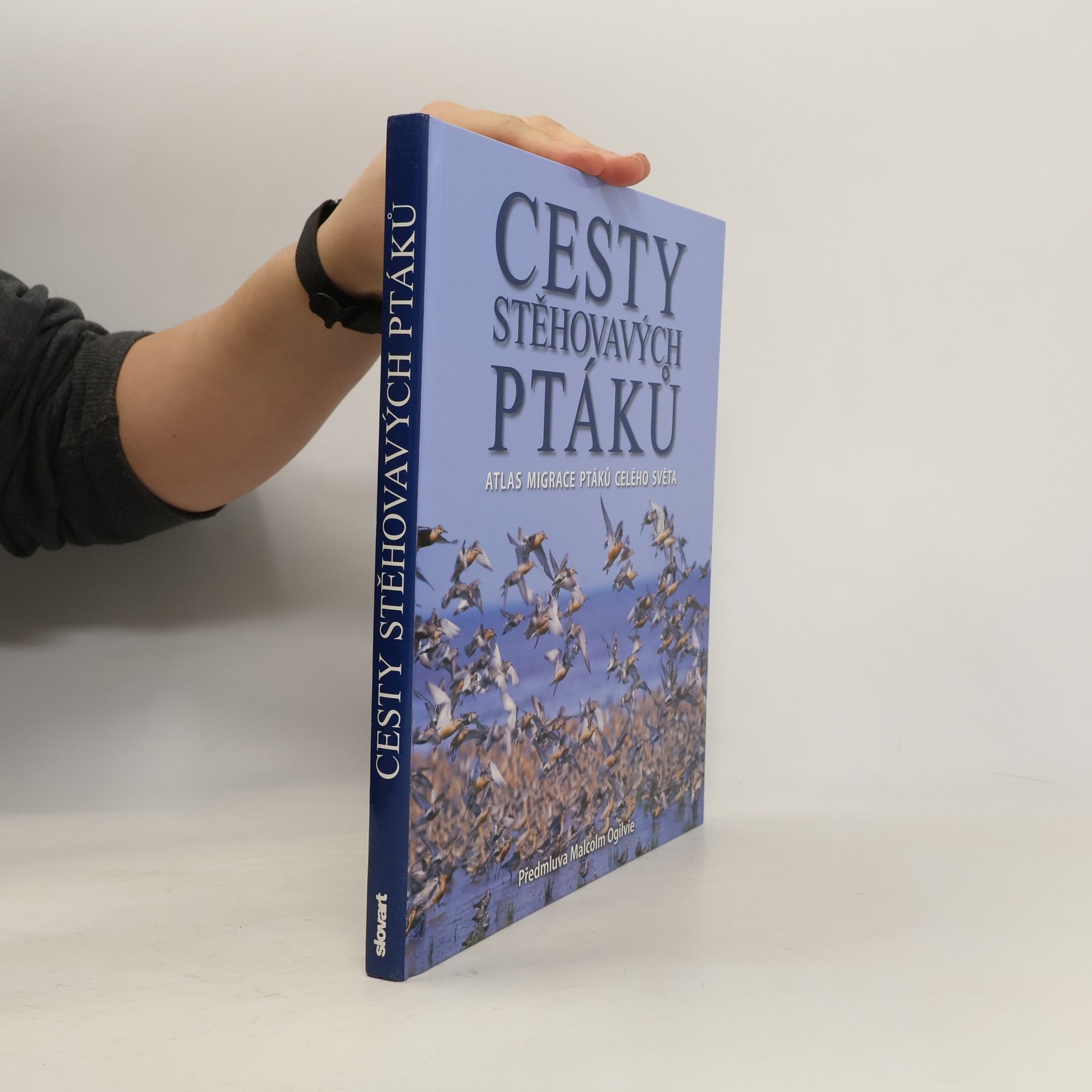 Jonathan Elphick Cesty stěhovavých ptáků