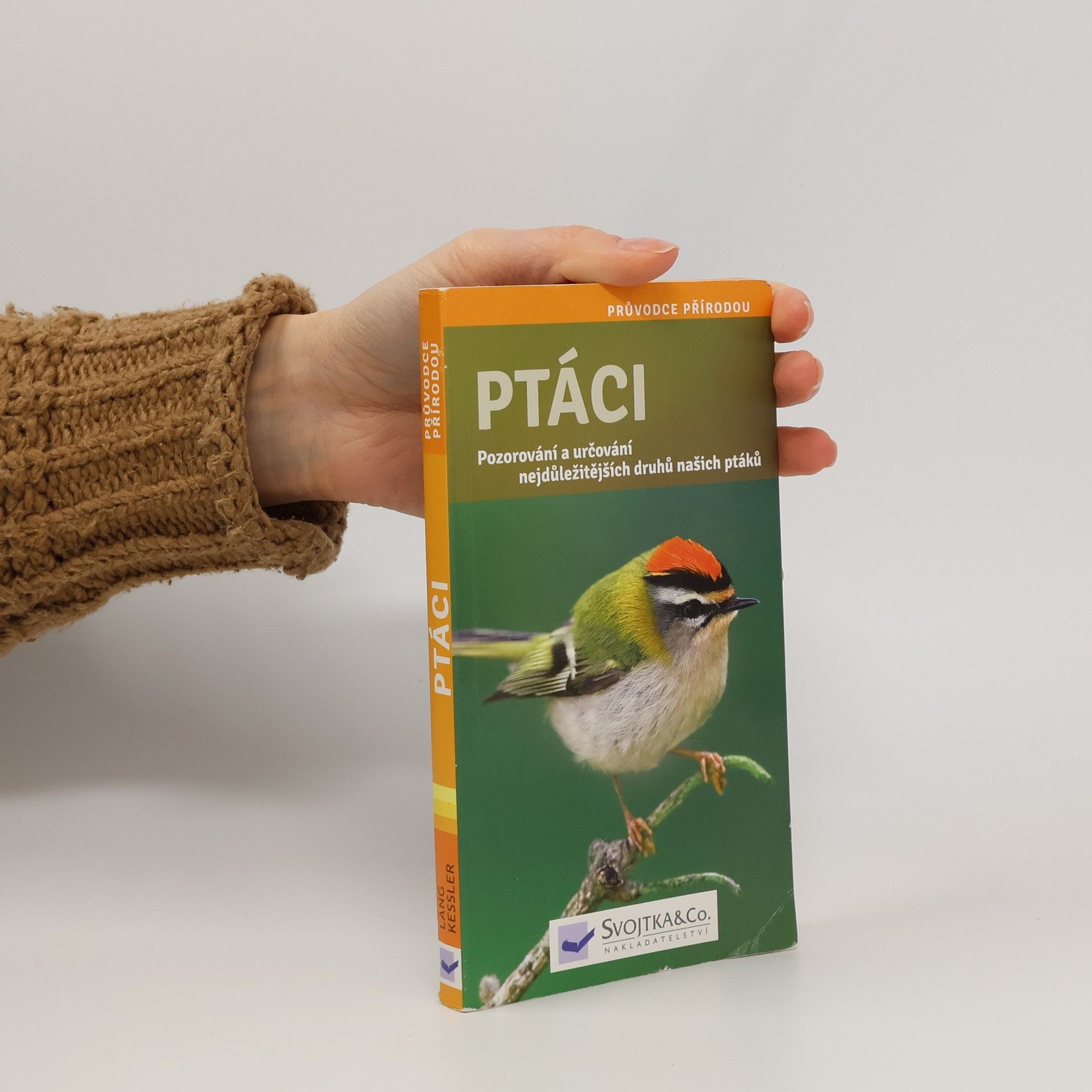 Angelika Lang Ptáci - pozorování a určování nejdůležitějších druhů našich ptáků