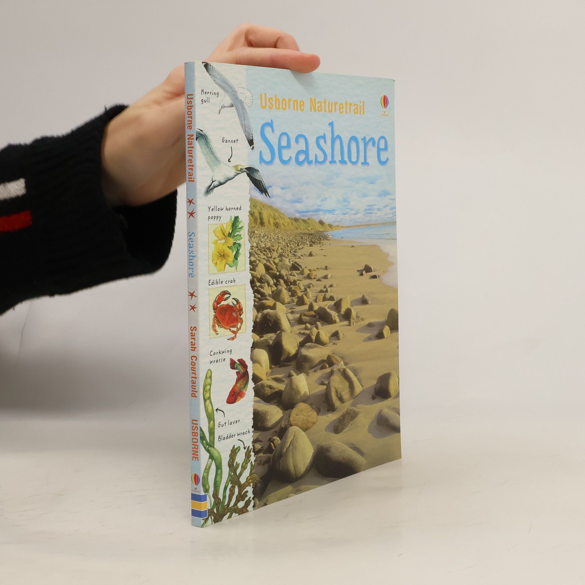 Sarah Courtauld Seashore