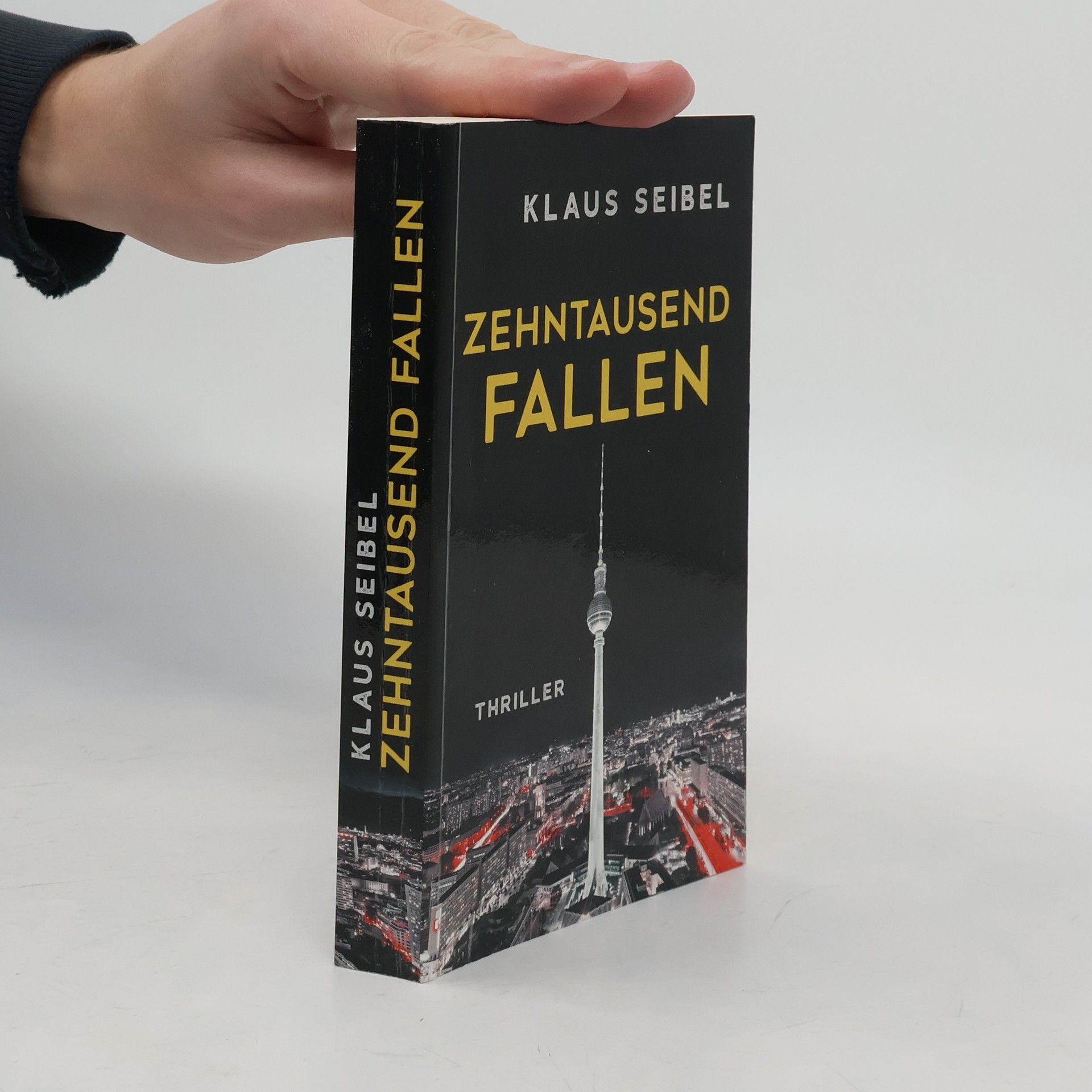 Klaus Seibel Zehntausend Fallen