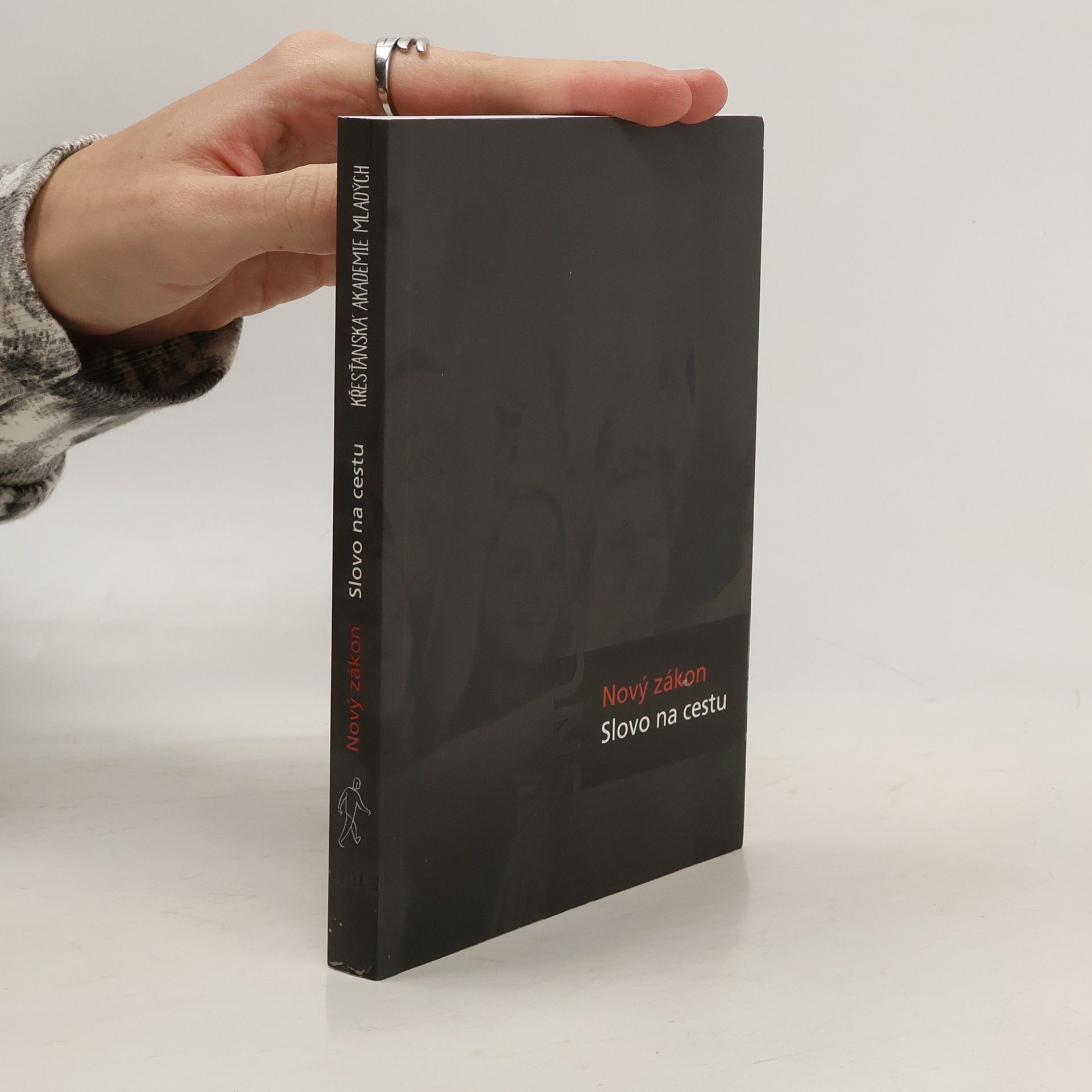 Auteurscollectief Nový zákon. Slovo na cestu