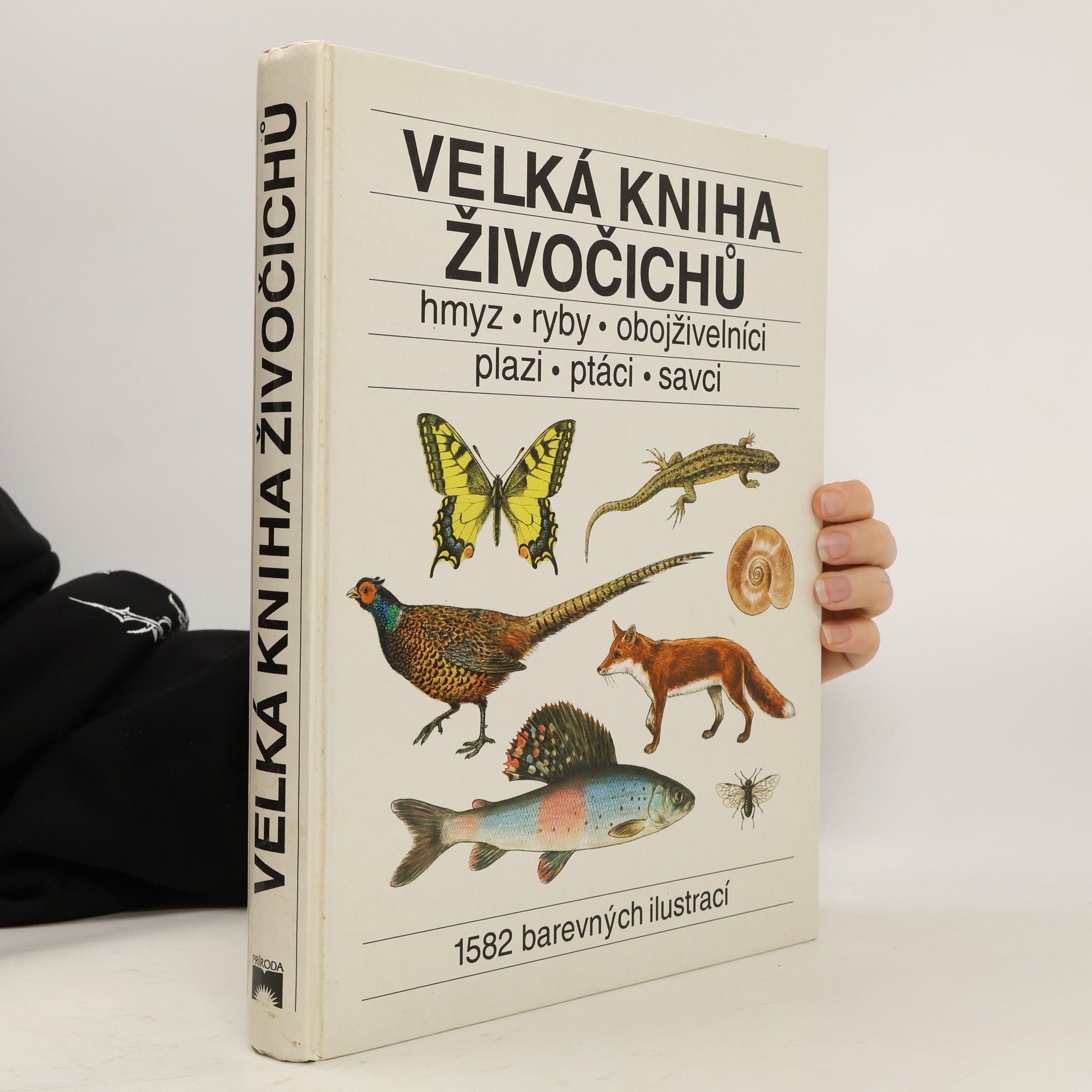 Velká kniha živočichů : hmyz, ryby, obojživelníci, plazi, ptáci, savci