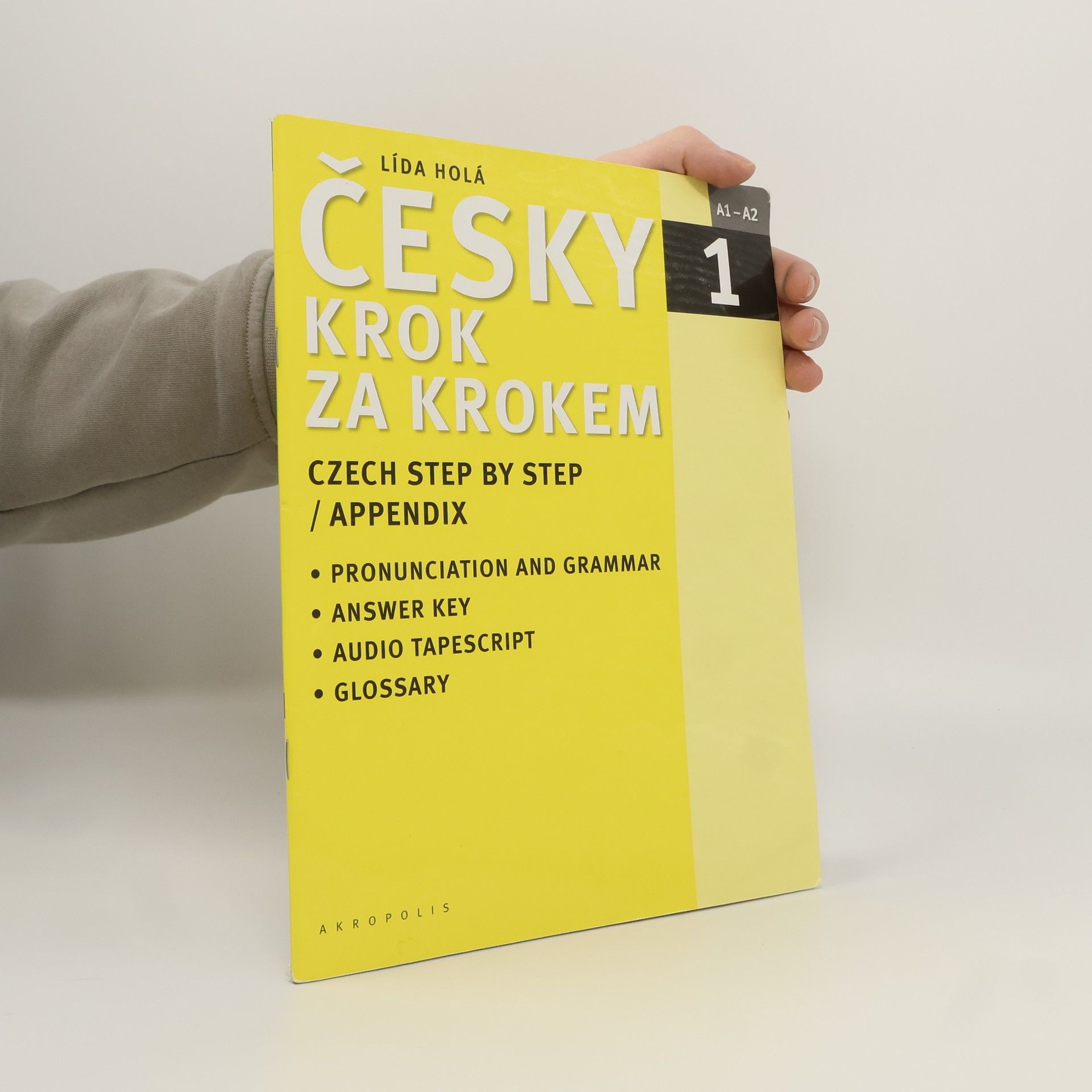 Lída Holá Česky krok za krokem 1. A1-A2 příloha