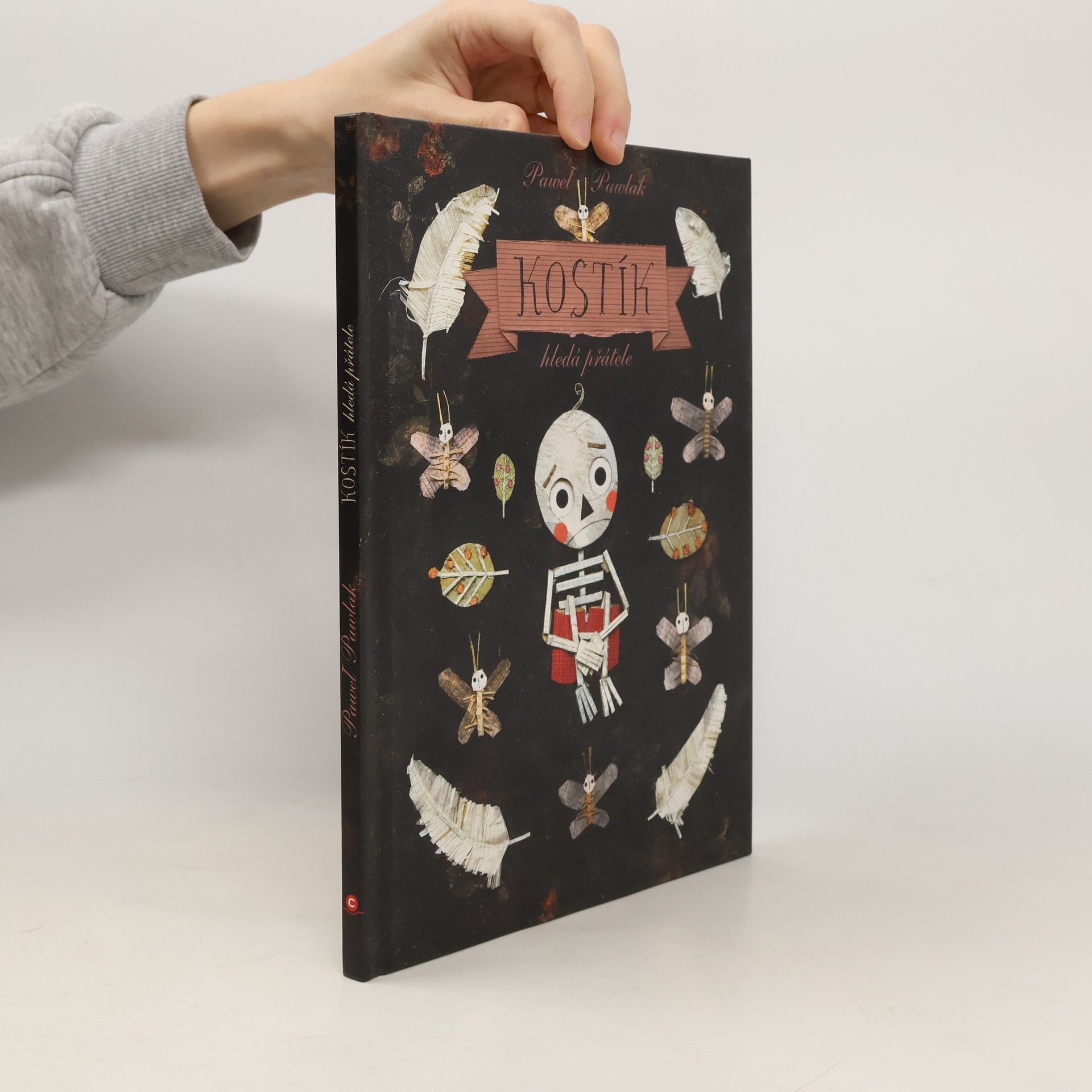 Pawel Pawlak Kostík hledá přátele