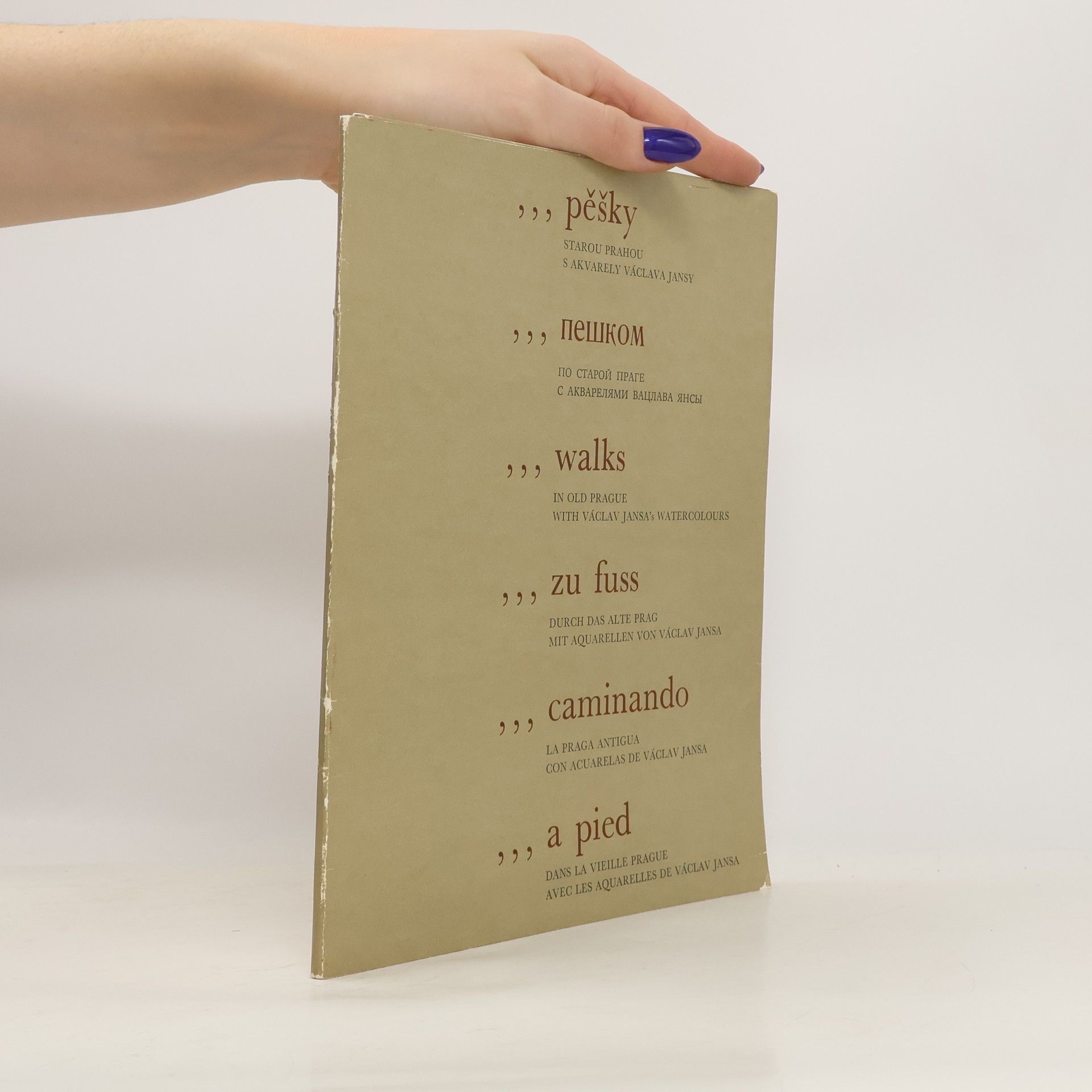 Jansa Václav Pěšky starou Prahou