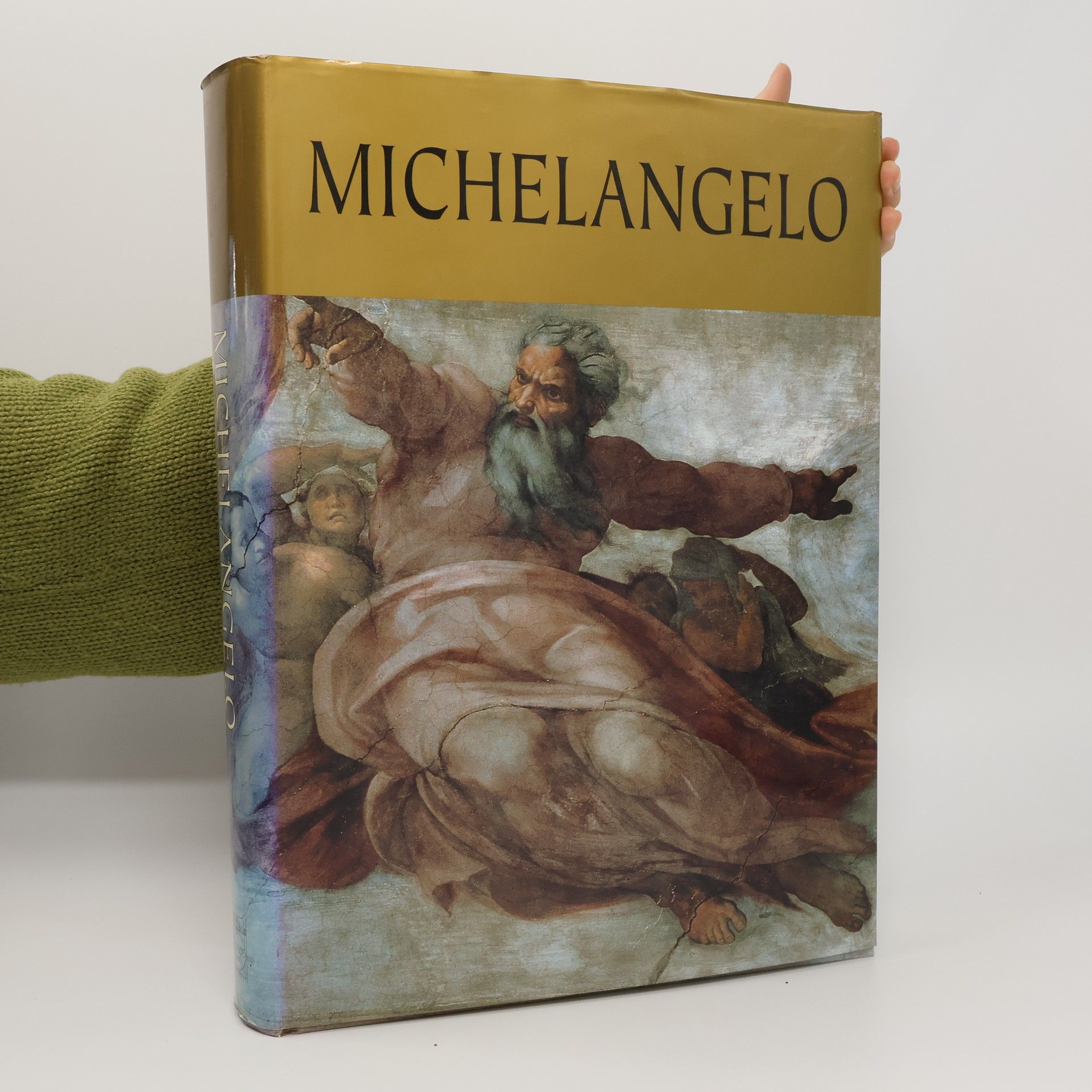 Collectif d'auteurs Michelangelo