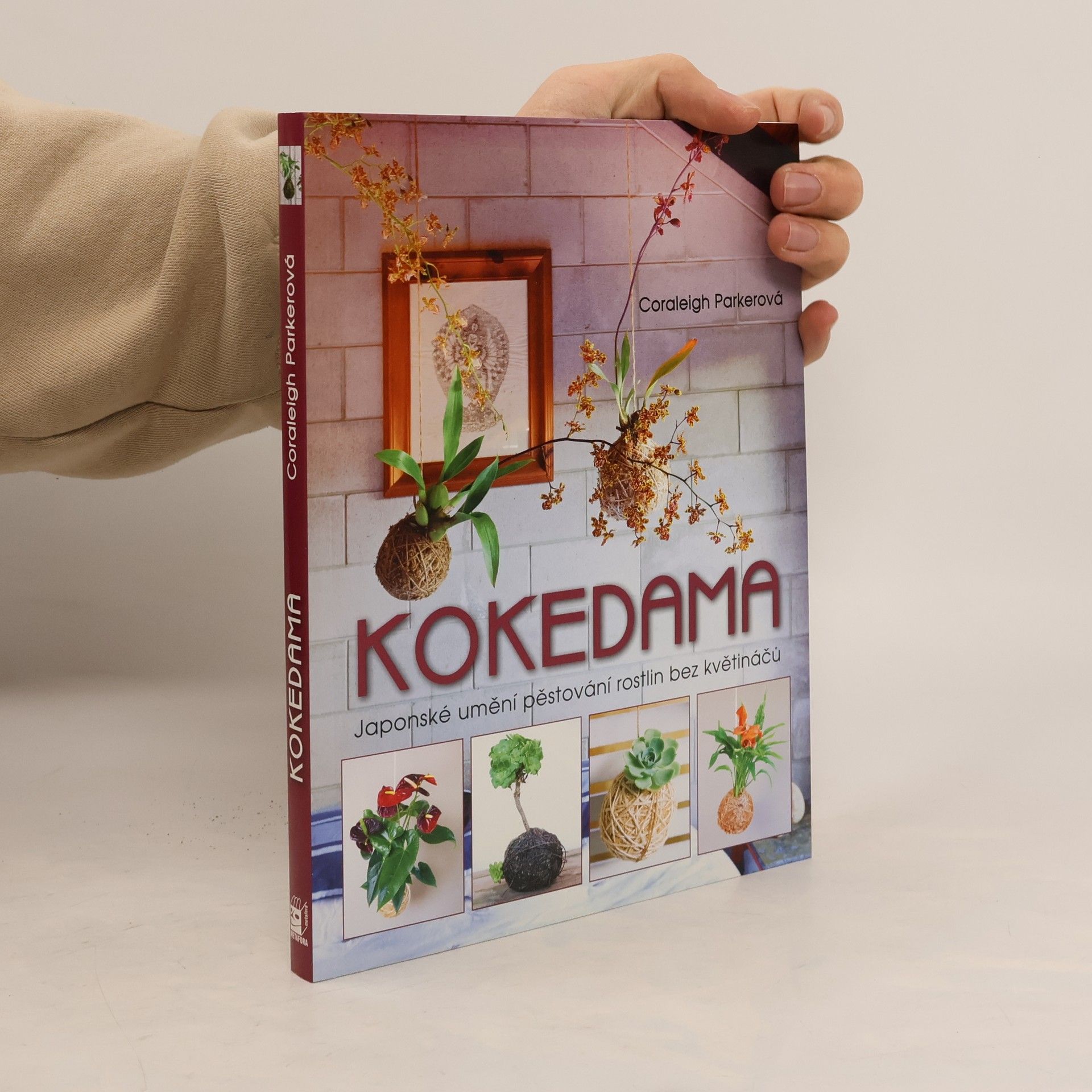 Coraleigh Parker Kokedama - Japonské umění pěstování rostlin bez květináčů