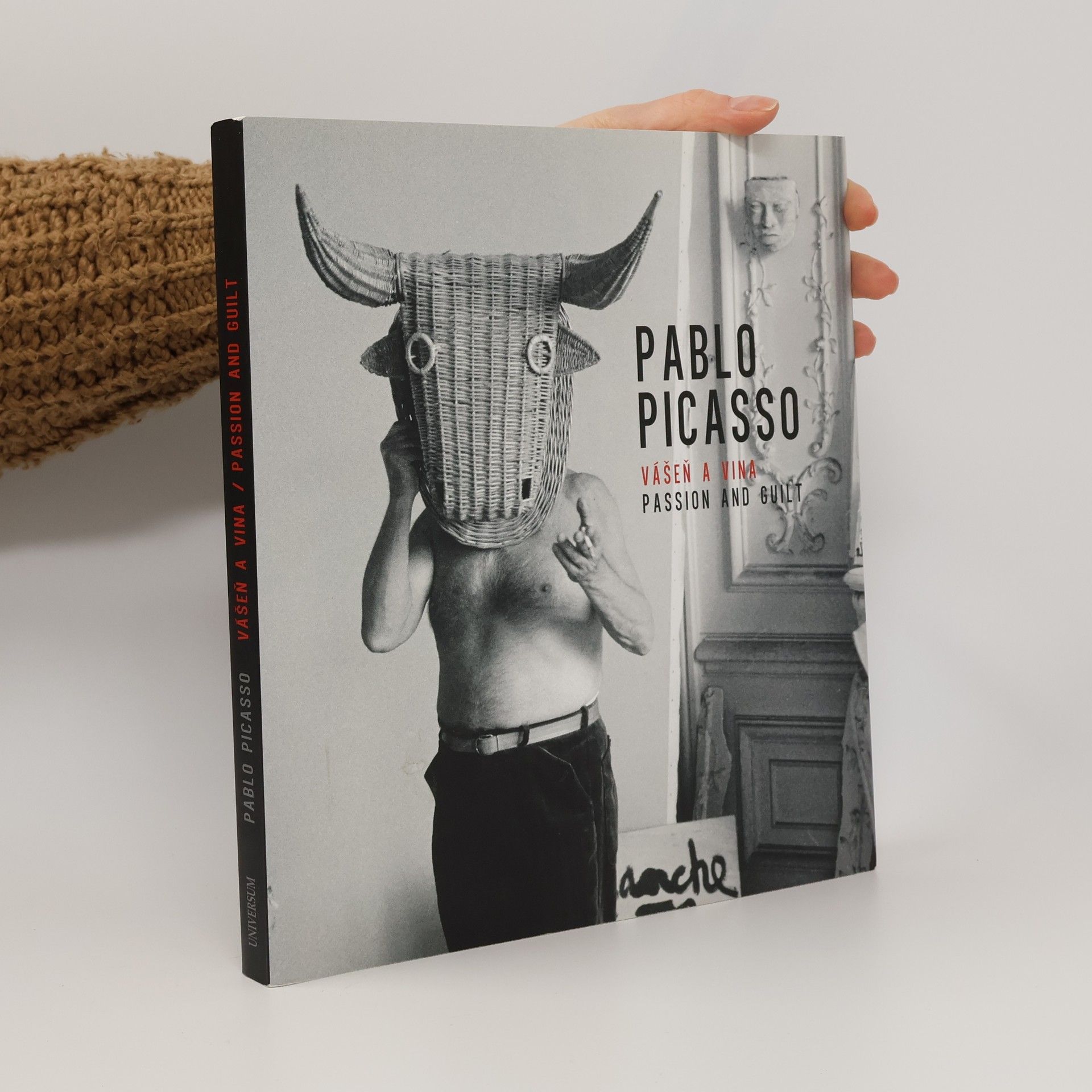 Jiří Pospíšil Pablo Picasso : Vášeň a vina : Passion and guilt