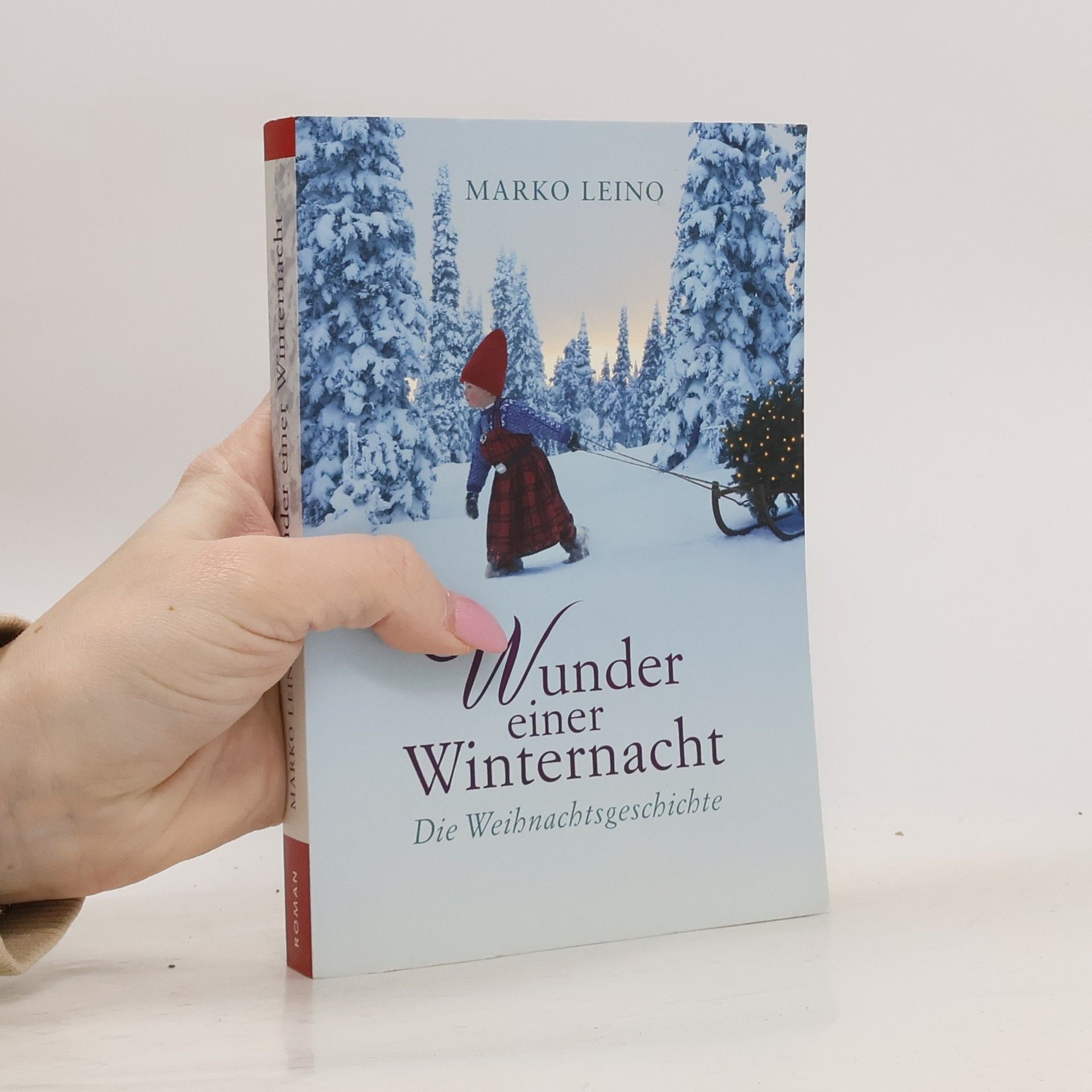 Wunder einer Winternacht