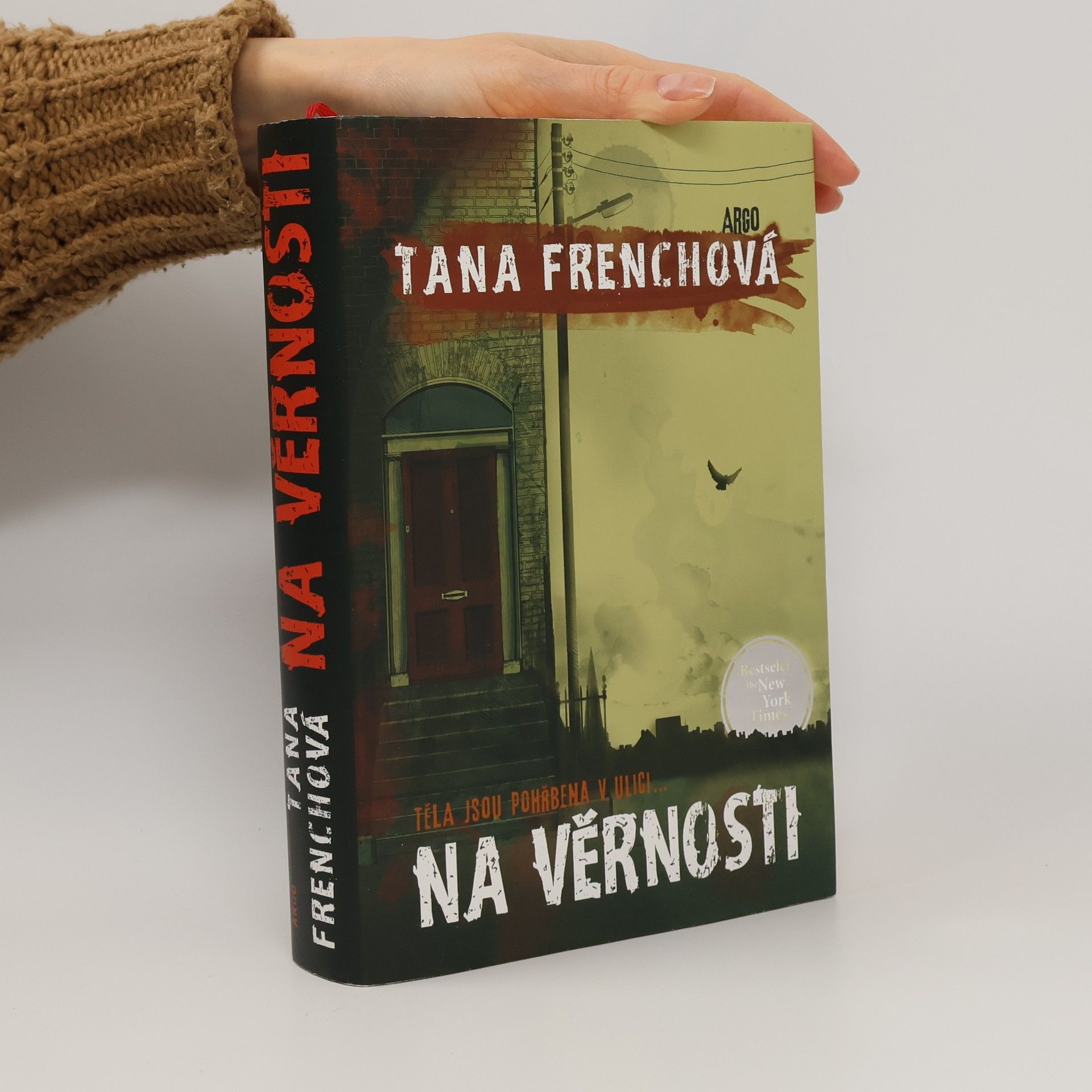 Tana French Na Věrnosti