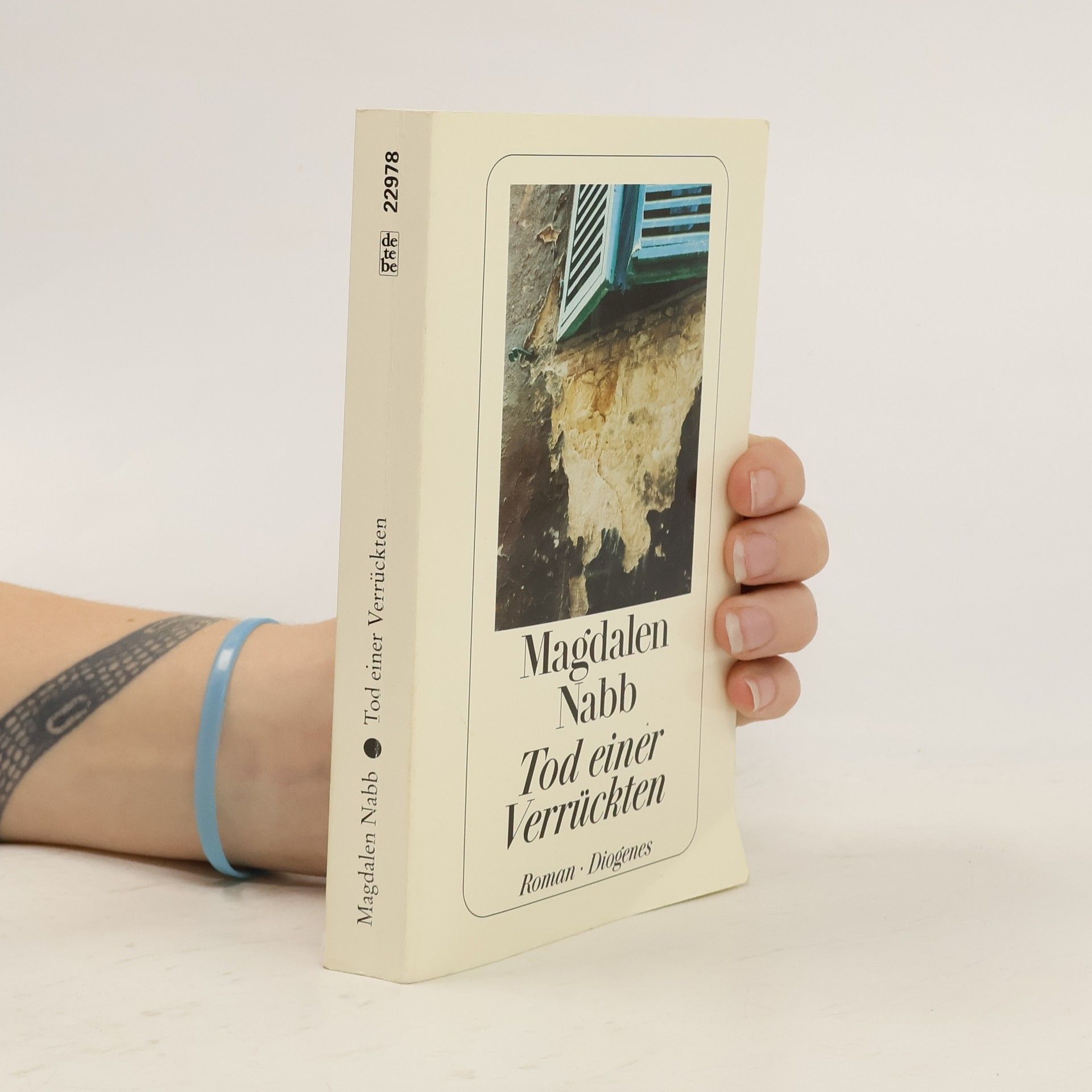 Magdalen Nabb Tod einer Verrückten