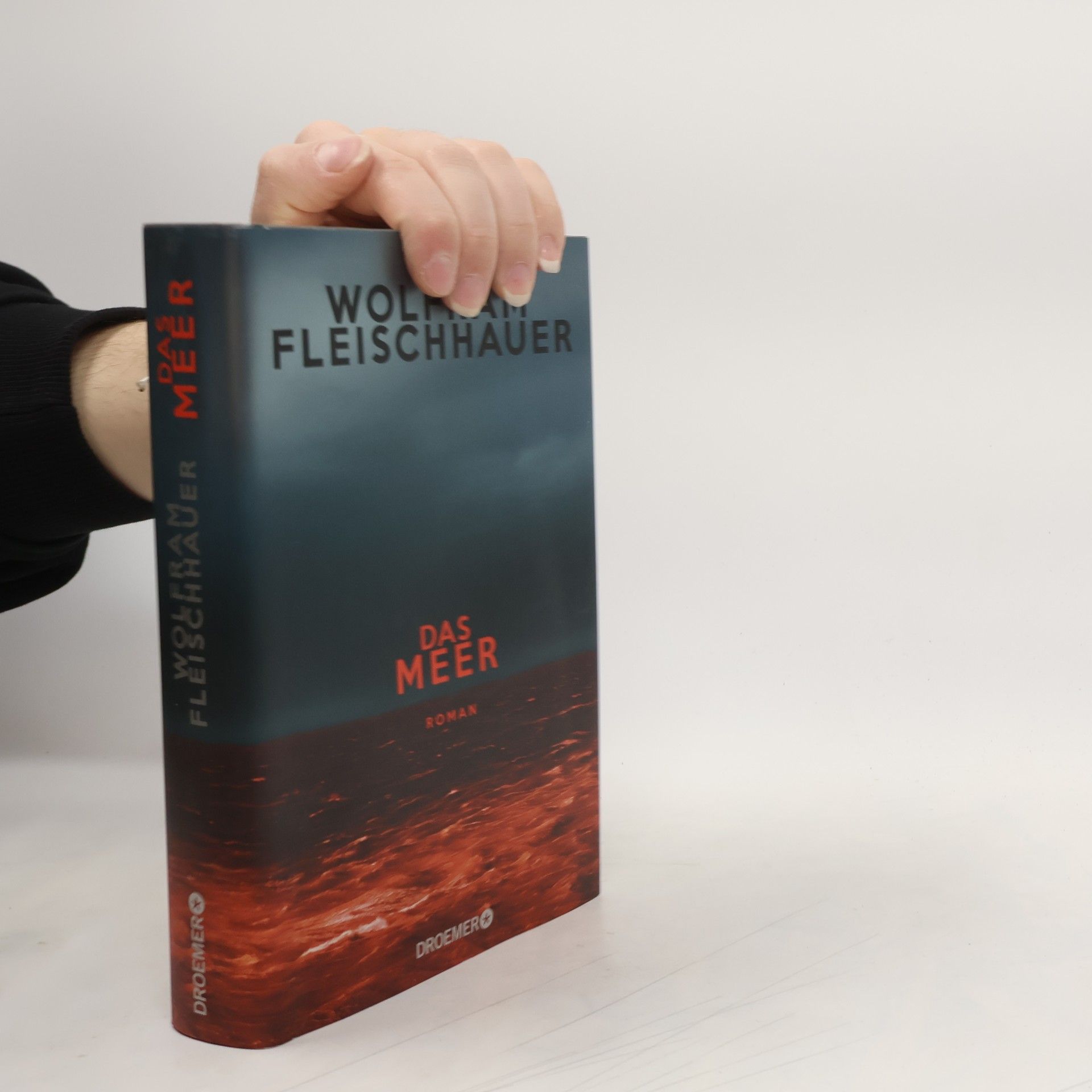 Wolfram Fleischhauer Das Meer