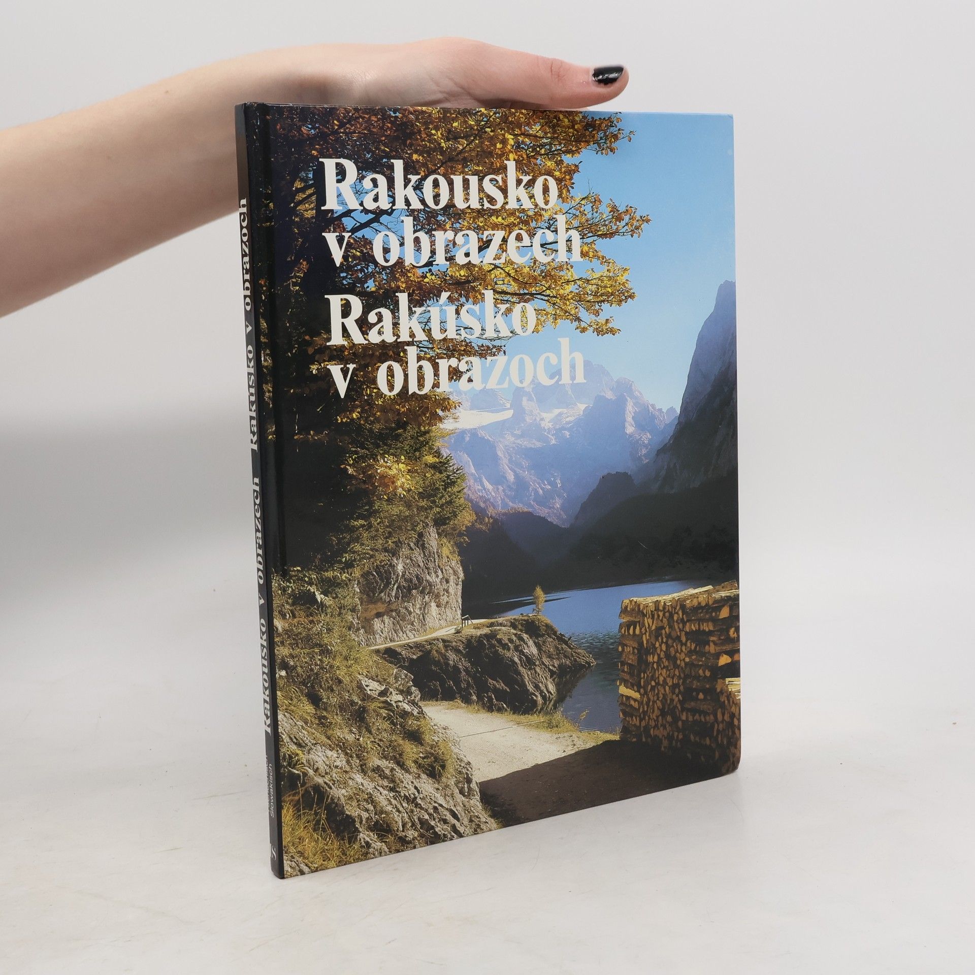 Marion Schmid-Drüner Rakousko v obrazech. Rakúsko v obrazoch
