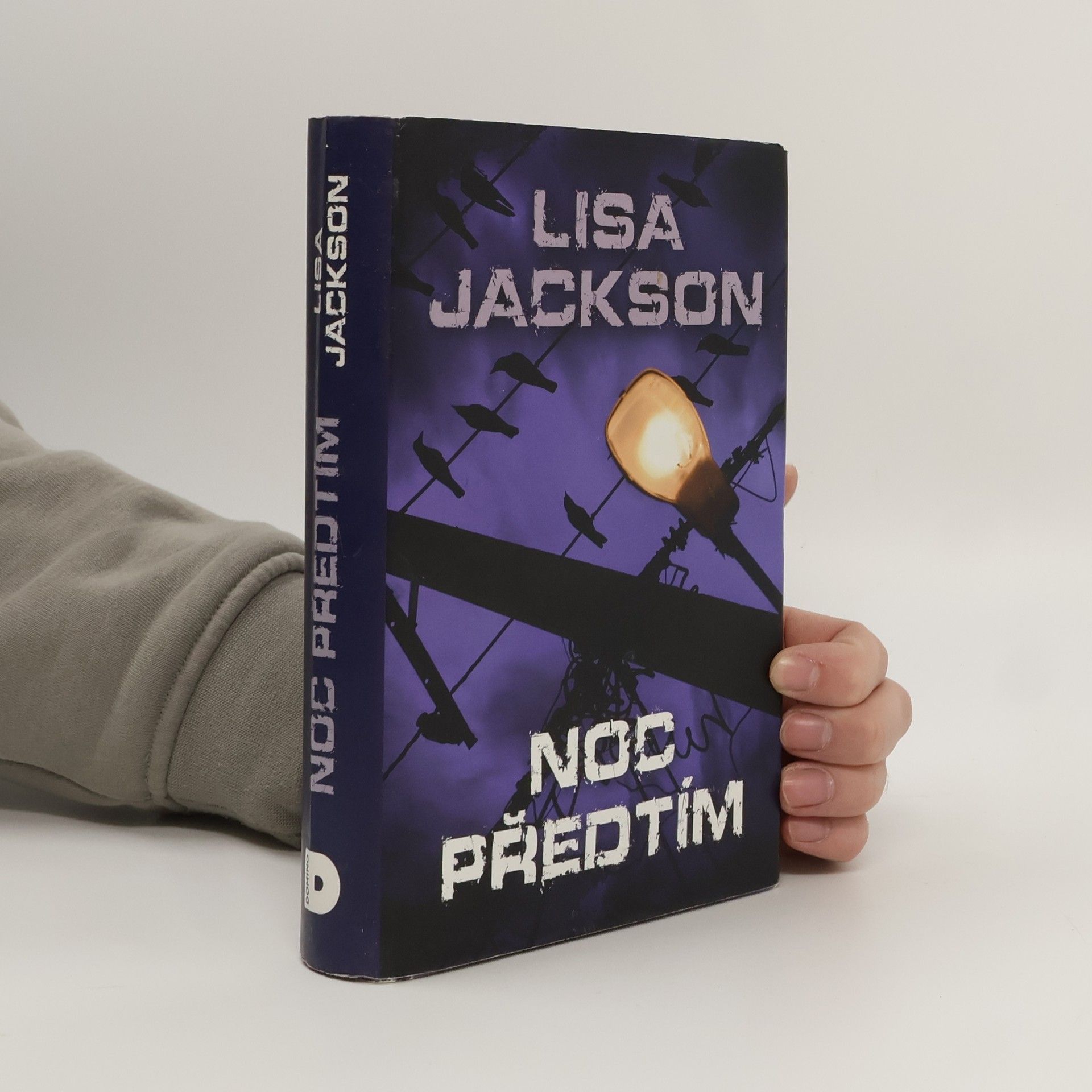 Lisa Jackson Noc předtím