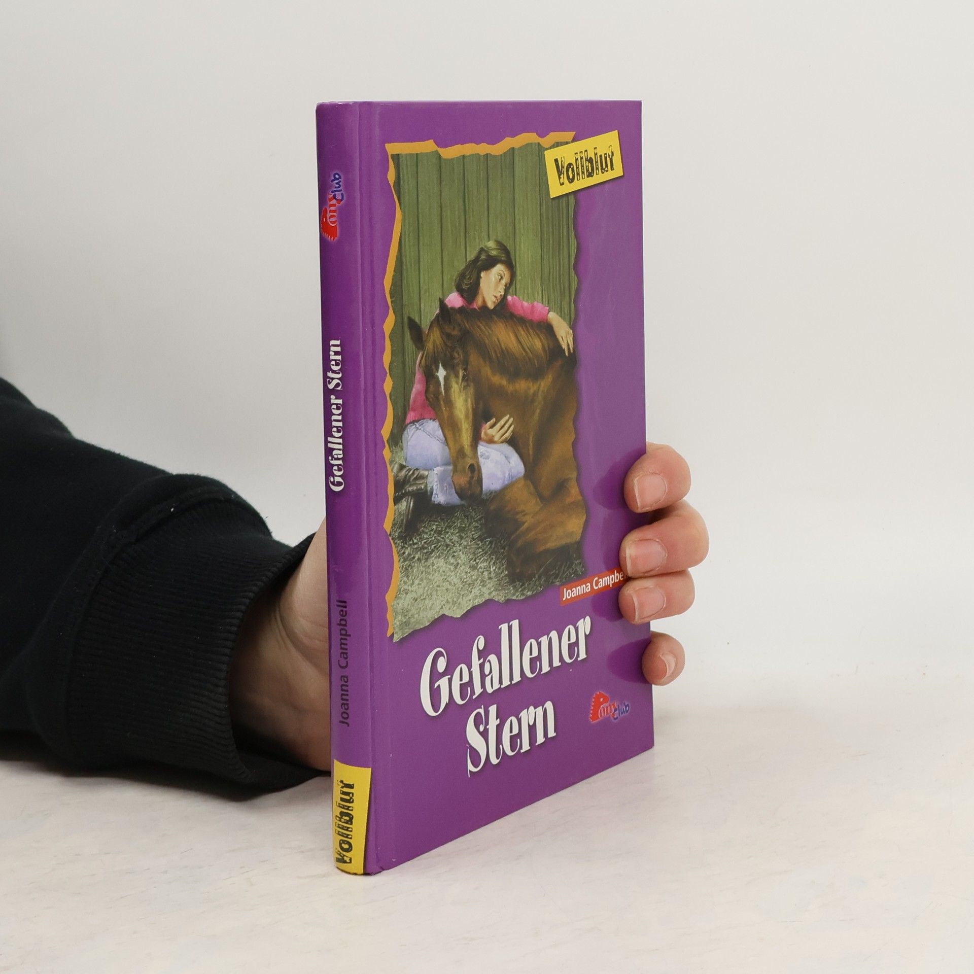 Joanna Campbell Vollblut 43. Gefallener Stern